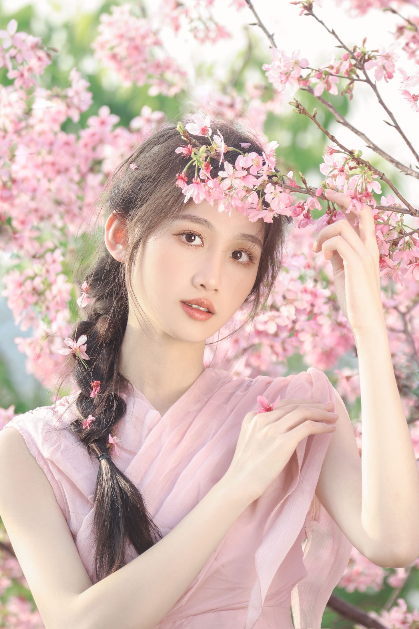 樱花树下 站谁都美
