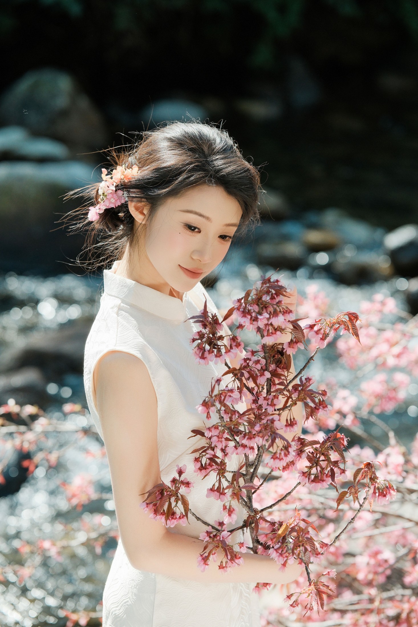 春风十里，樱香四溢