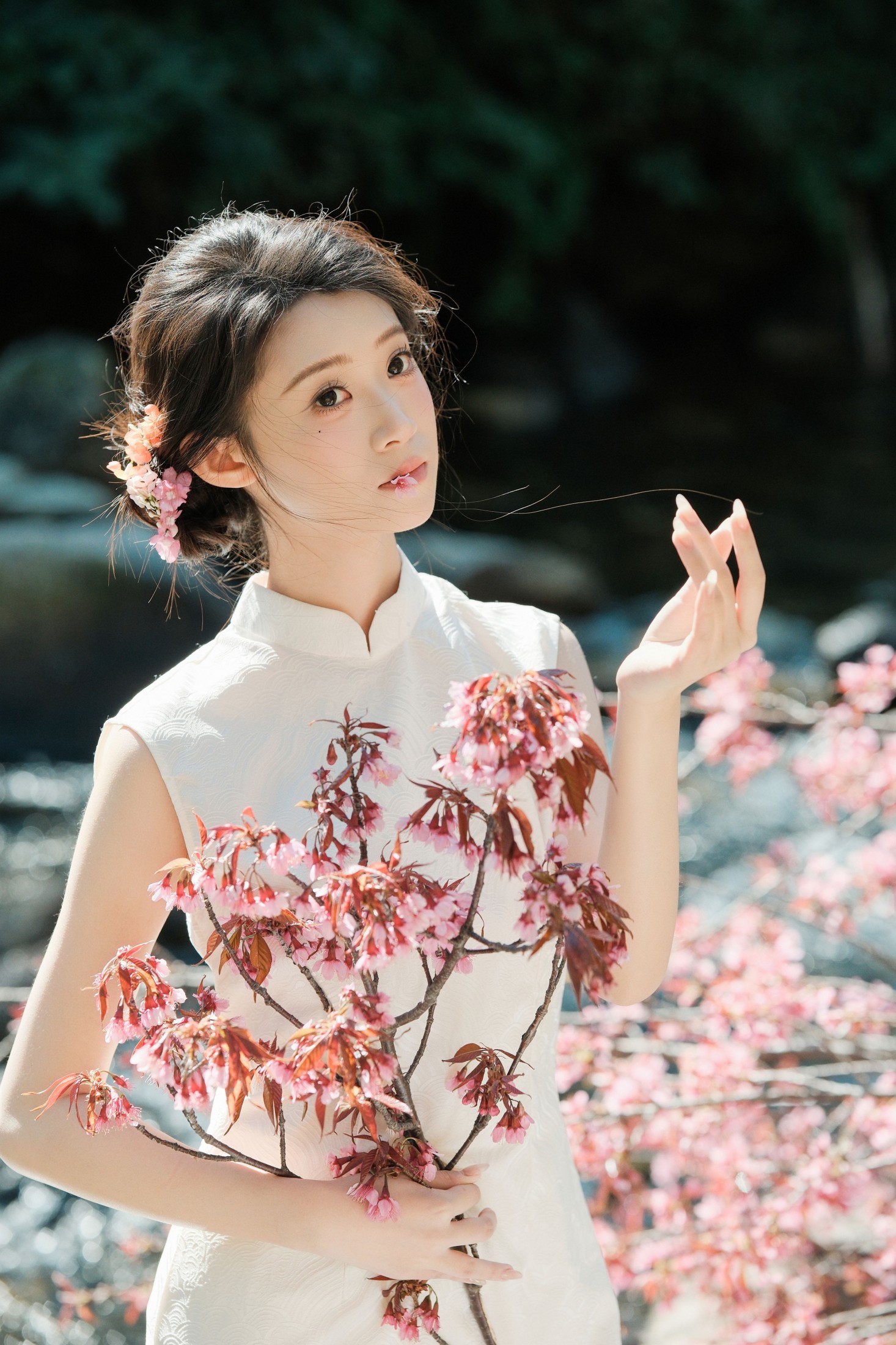 一口烧麦 - 《春风十里，樱香四溢》[30P]