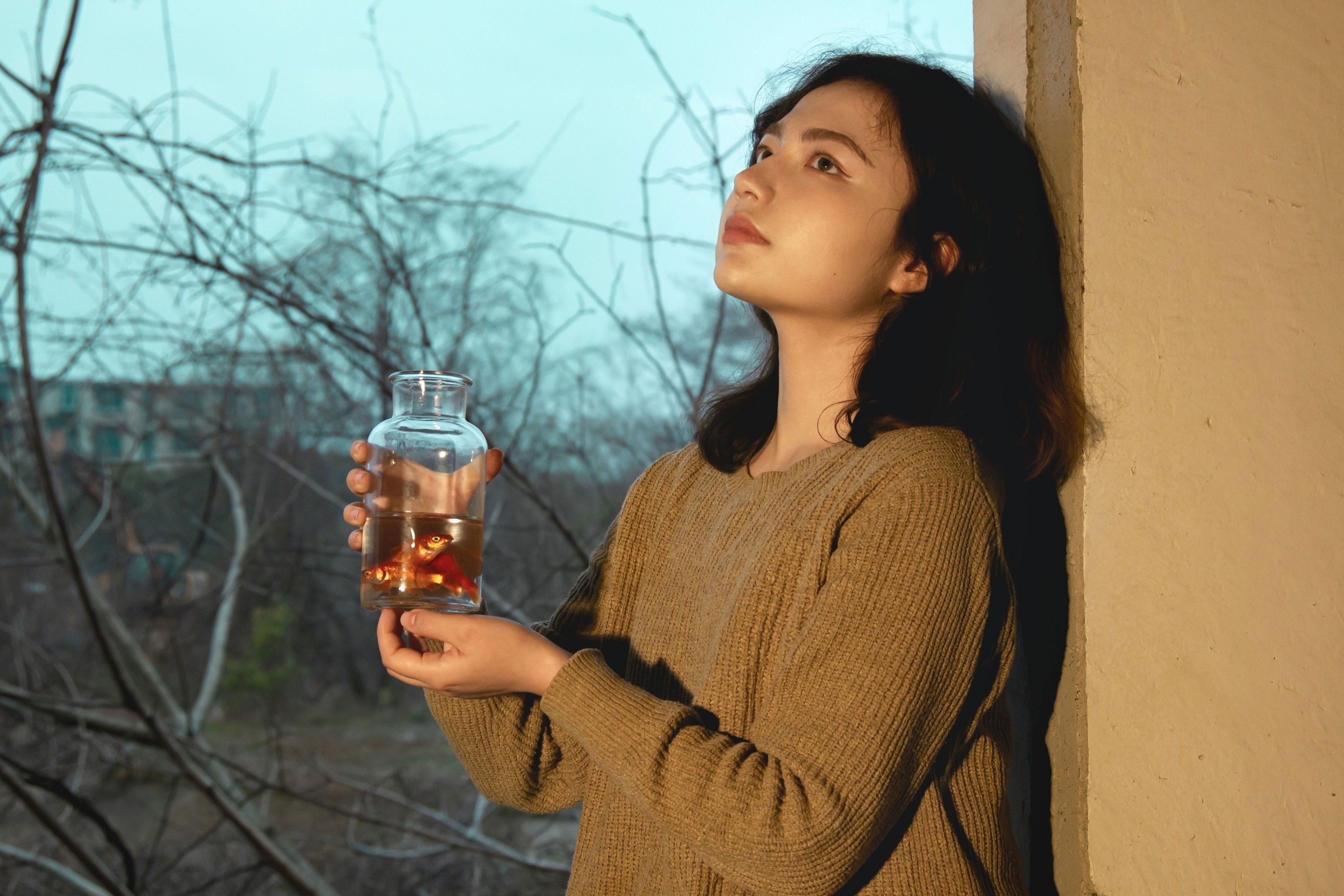 《金鱼》[35P]