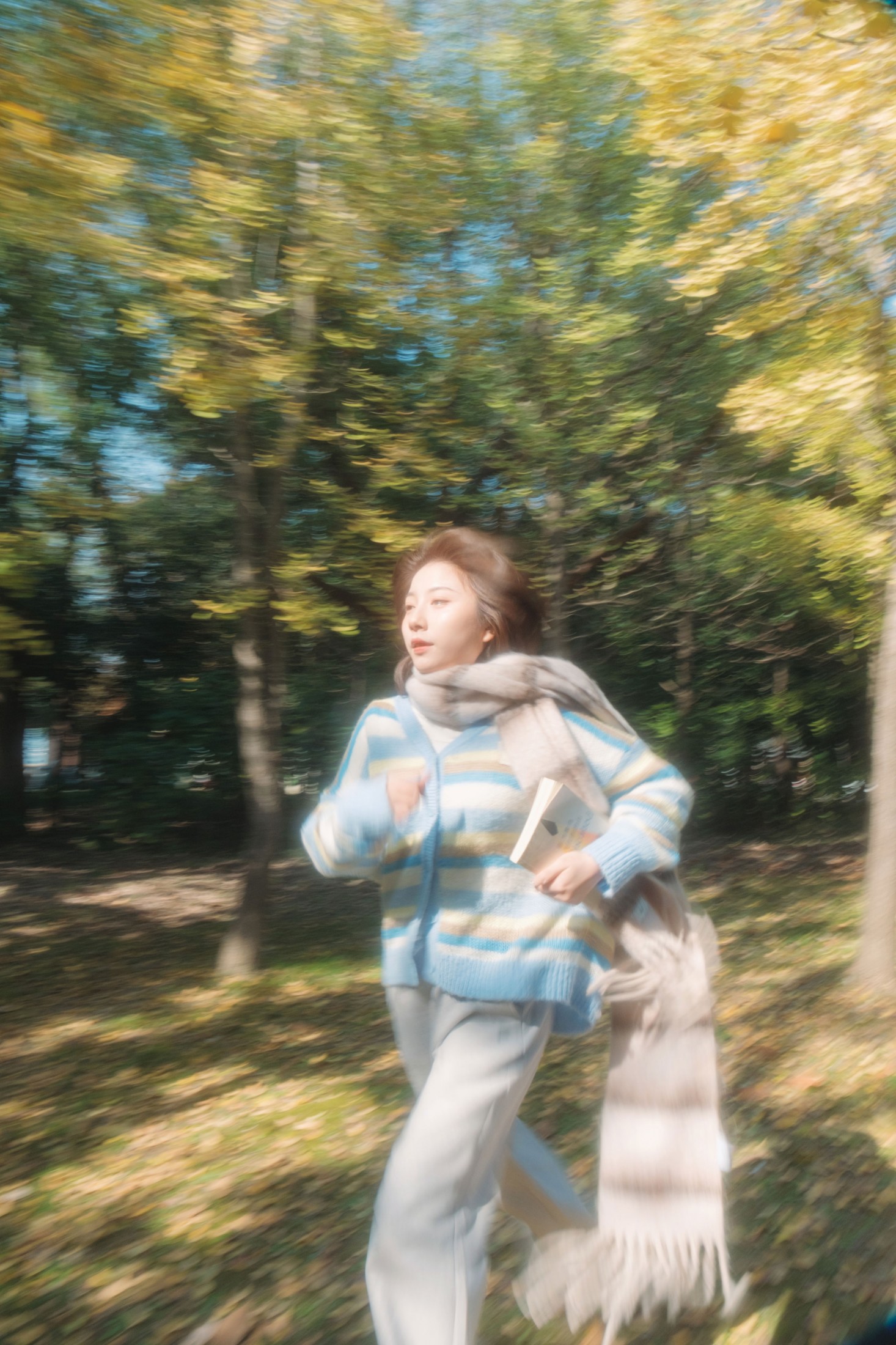 《银杏叶的秋》[31P]