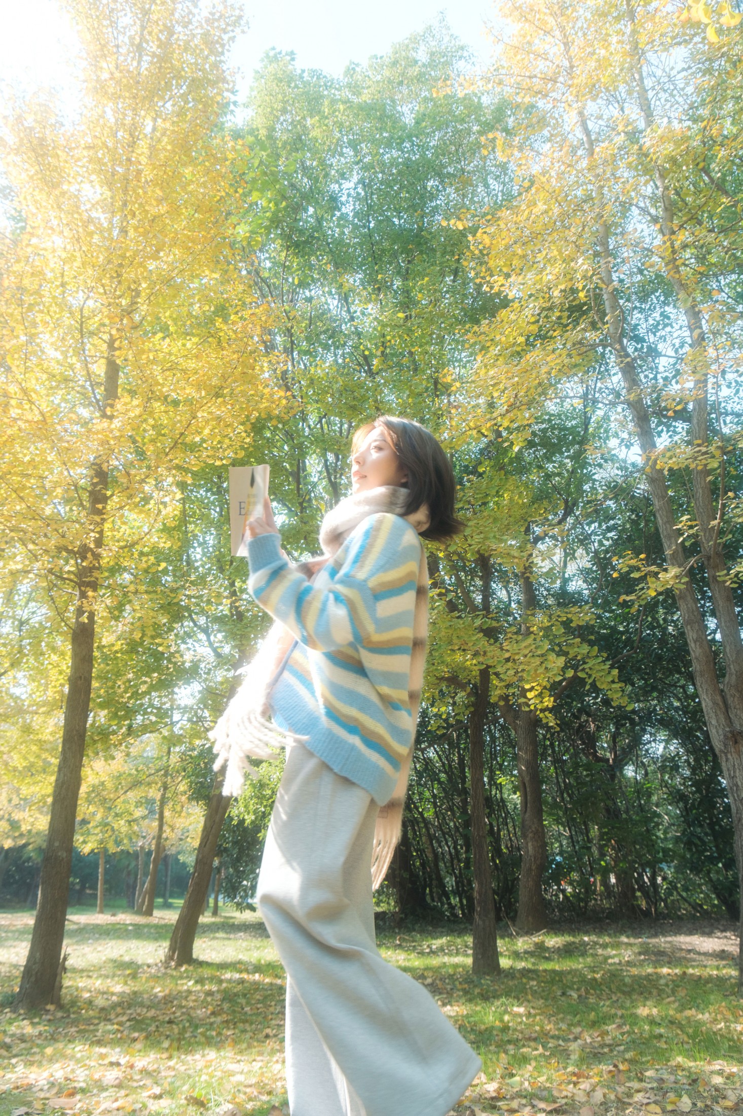 《银杏叶的秋》[31P]
