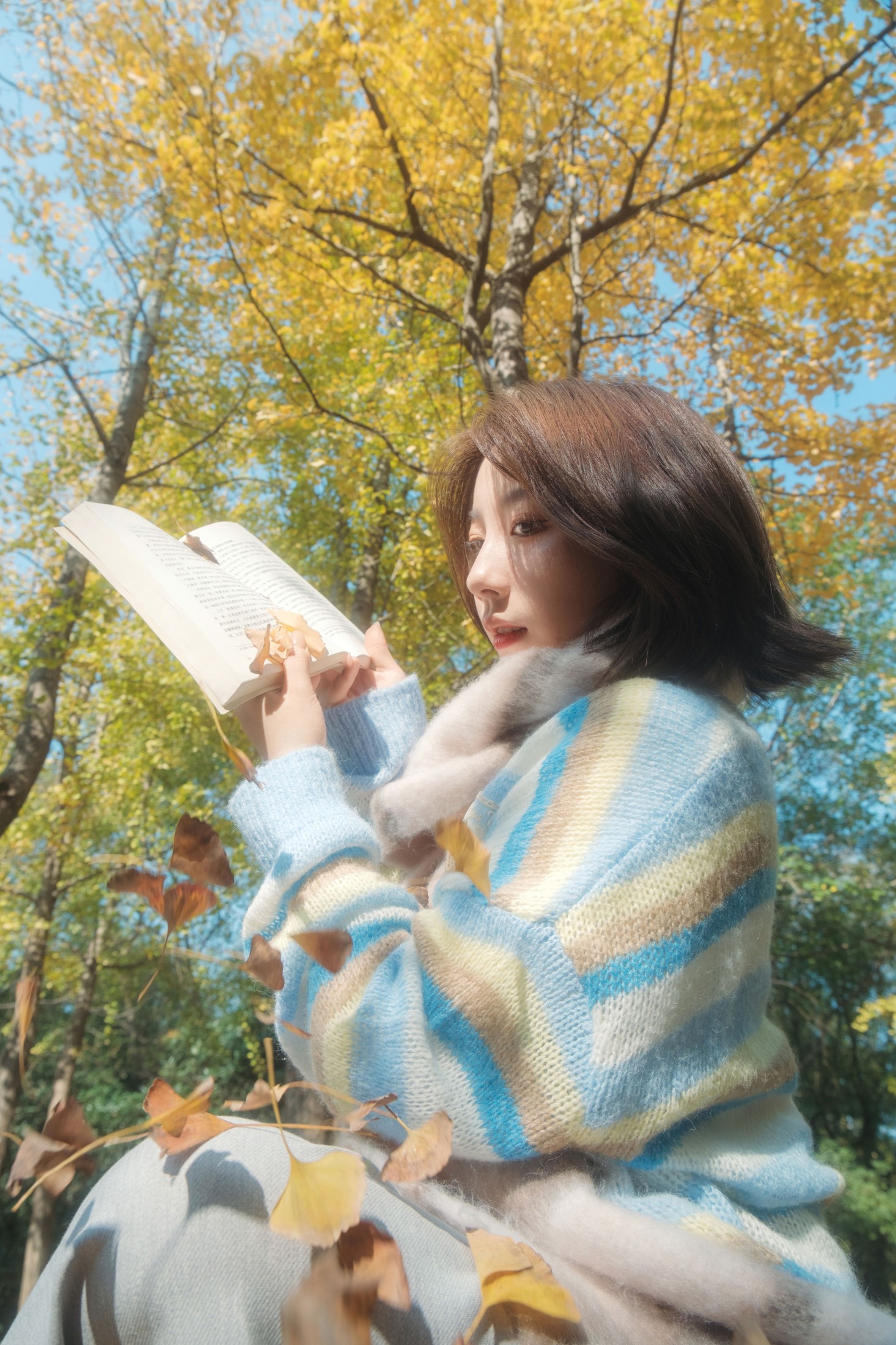 银杏叶的秋