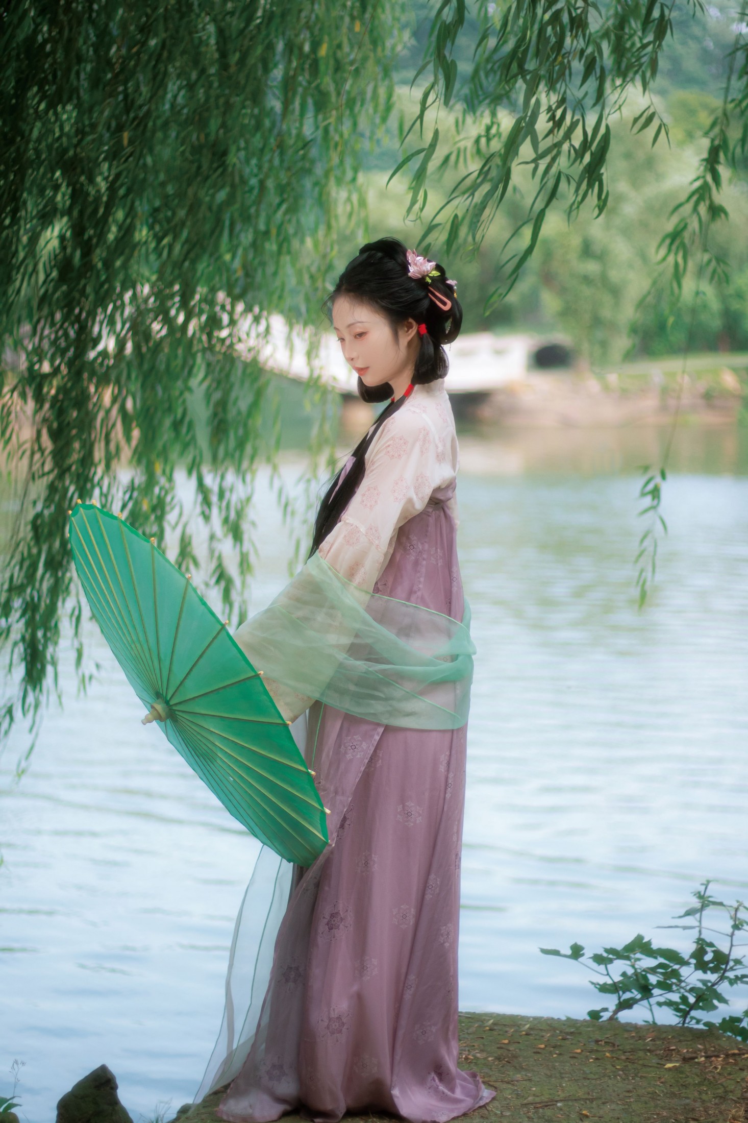 蔸小黄鸡 - 《二月春风》[12P]