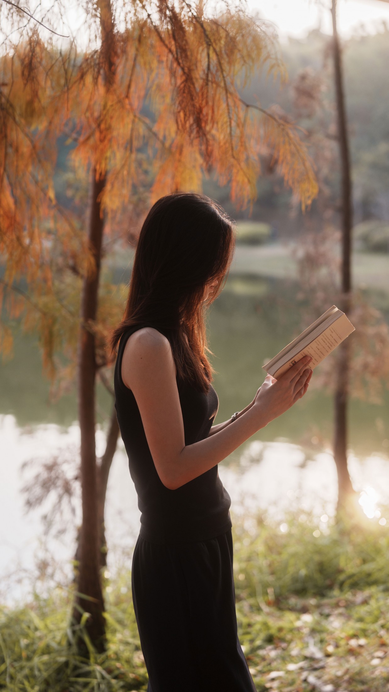 《午后》[37P]