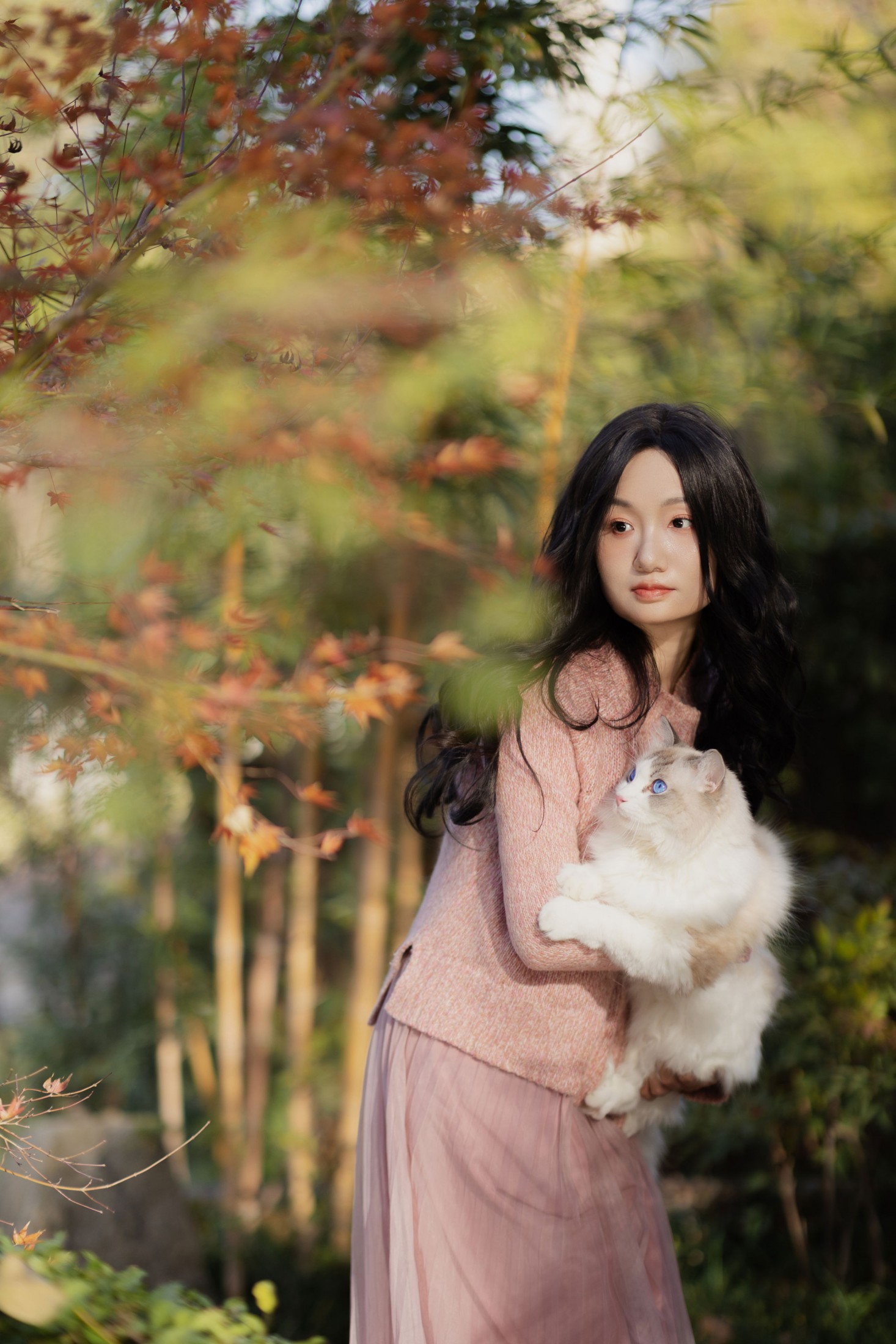 素光 - 《少女与猫》[35P]