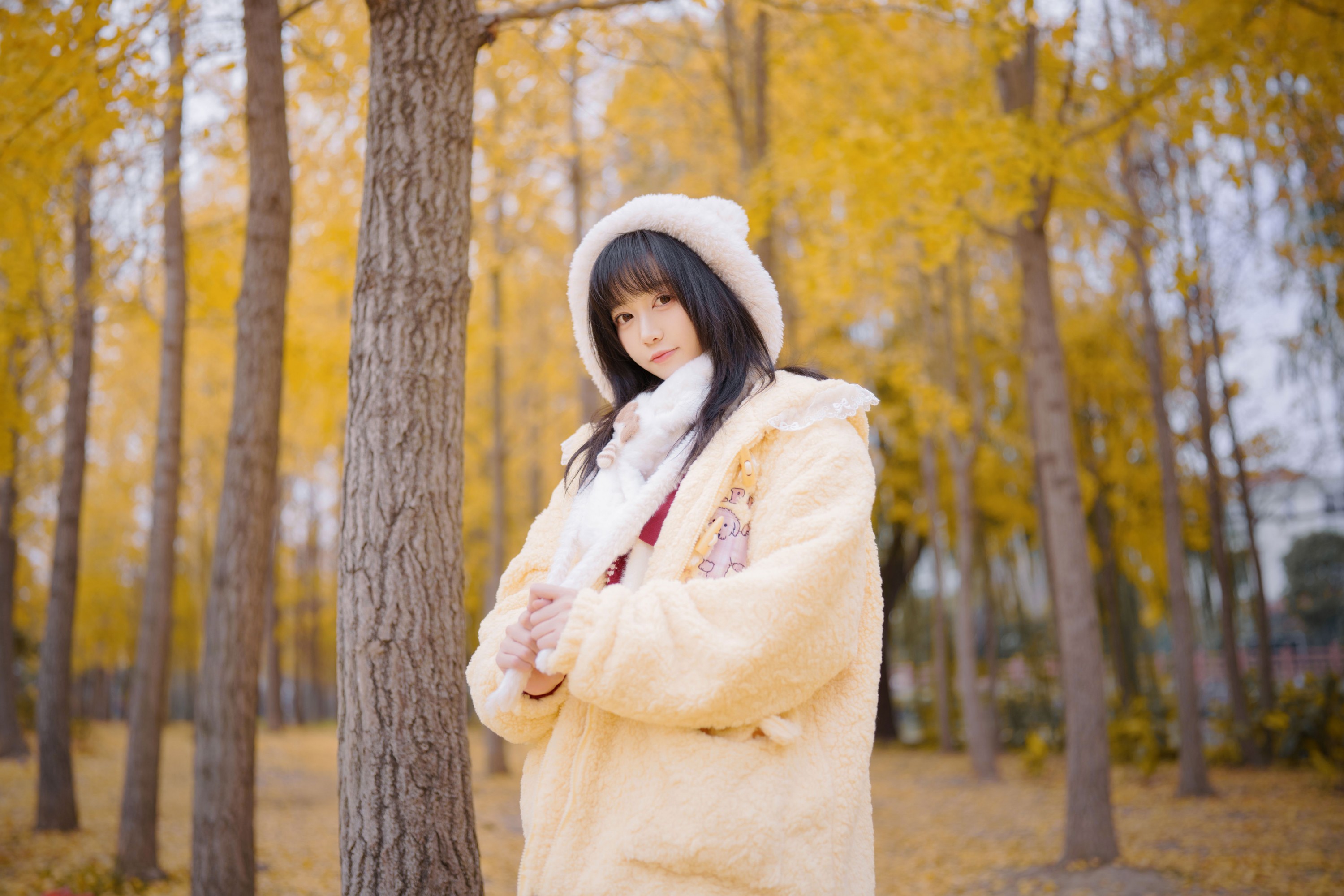 银杏漫步