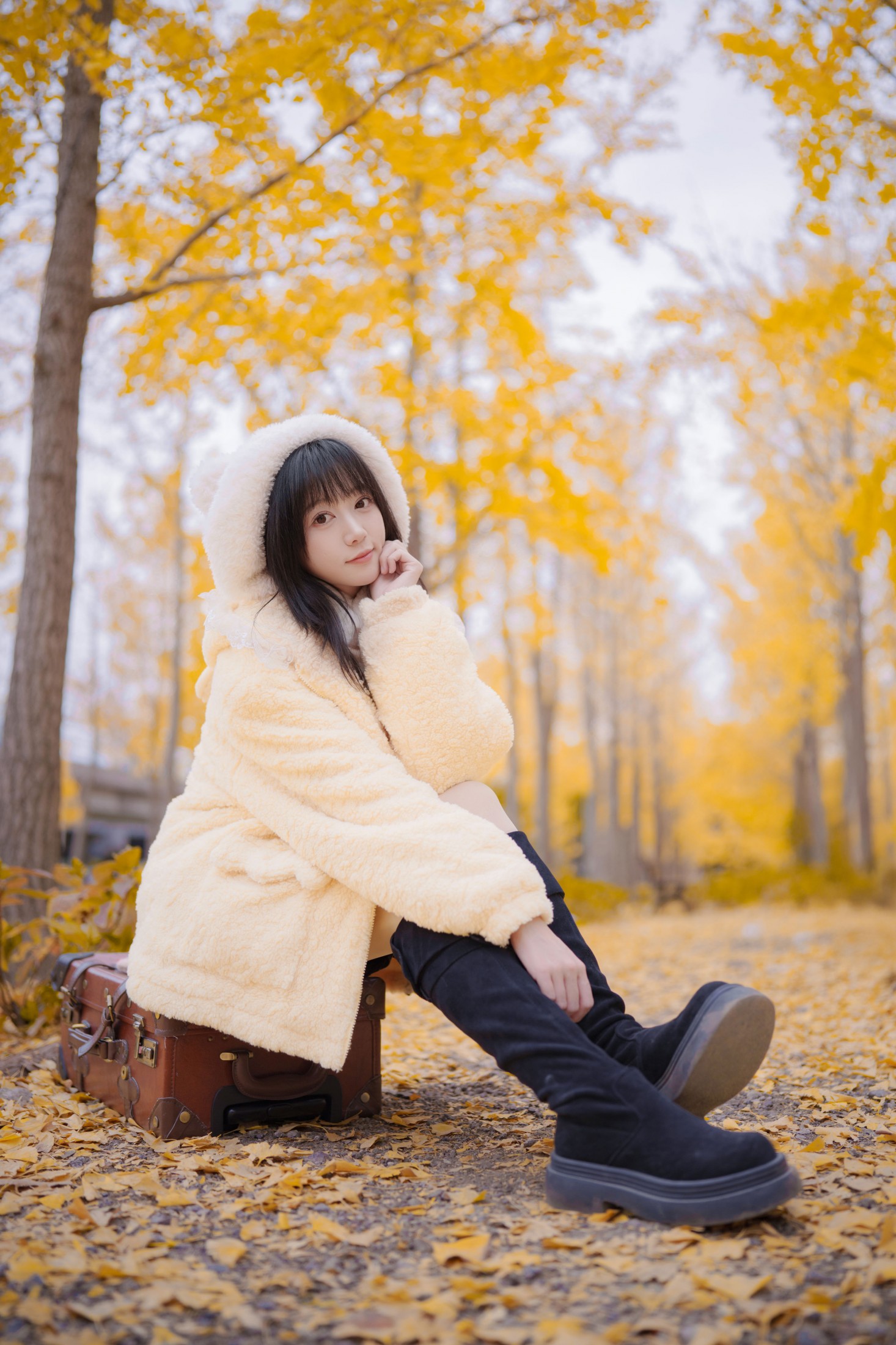 麻瓜社畜小圆 - 《银杏漫步》[33P]