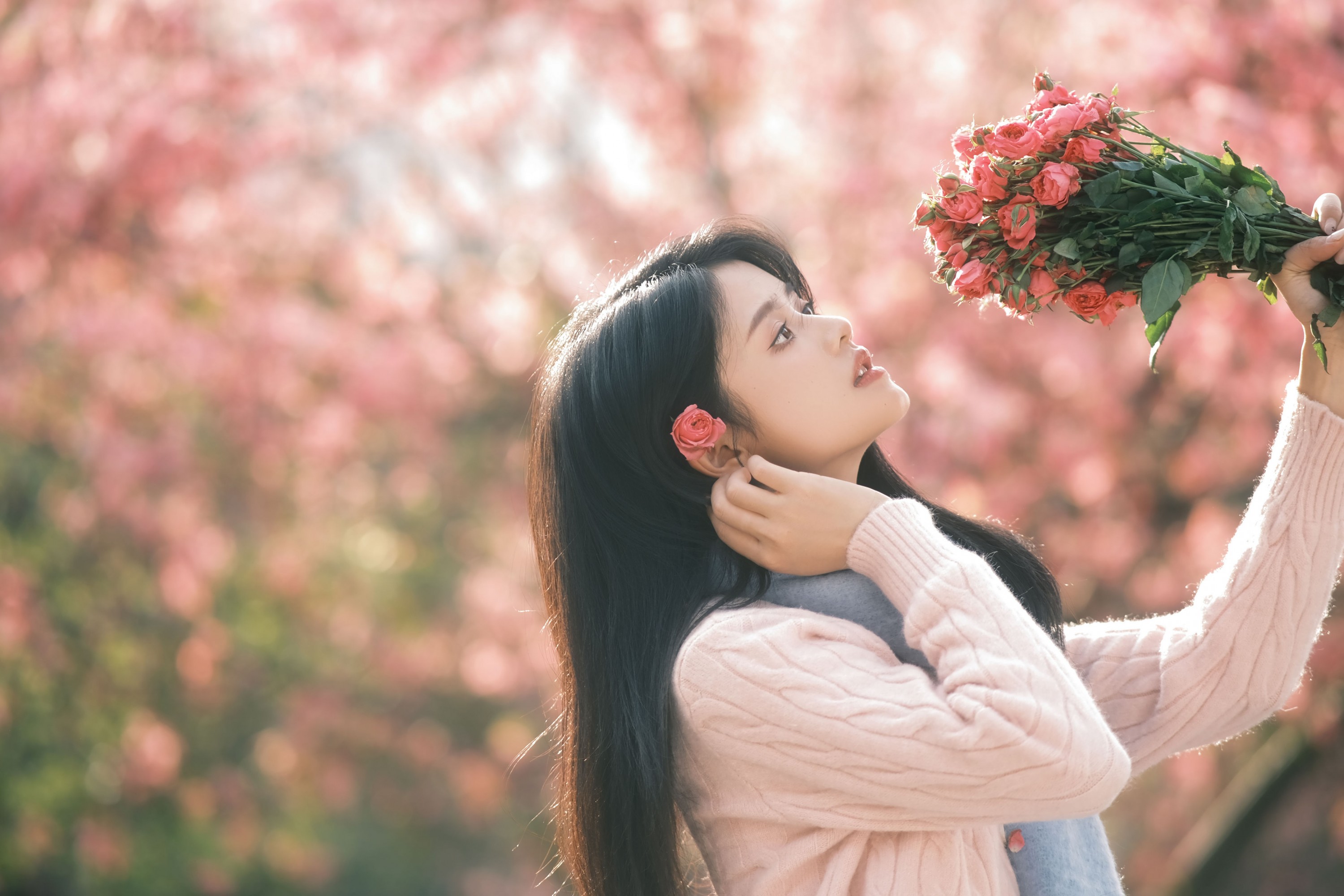 小谢 - 《异木棉的冬天》[18P]