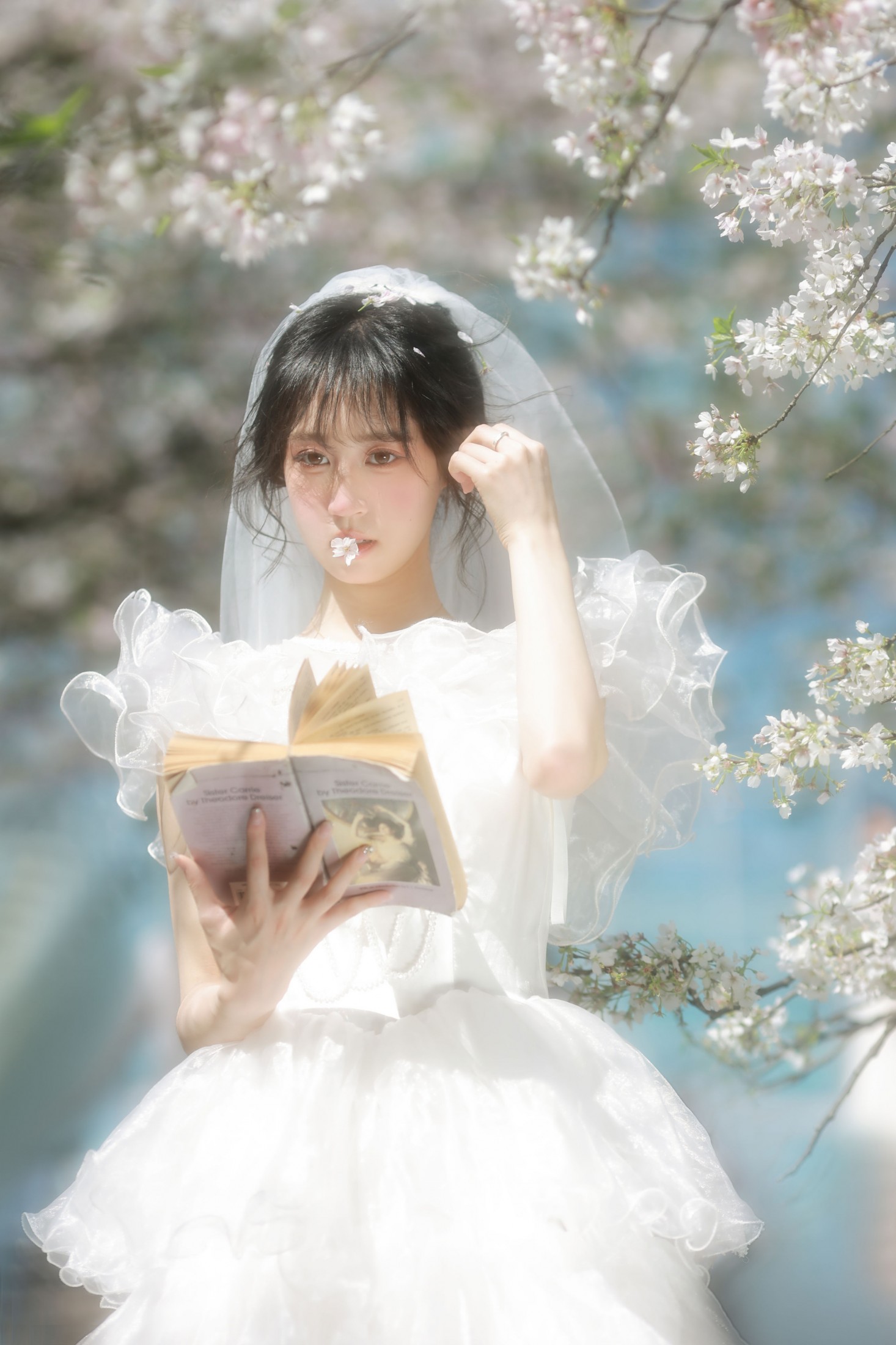 小庞 - 《白樱恋歌》[16P]