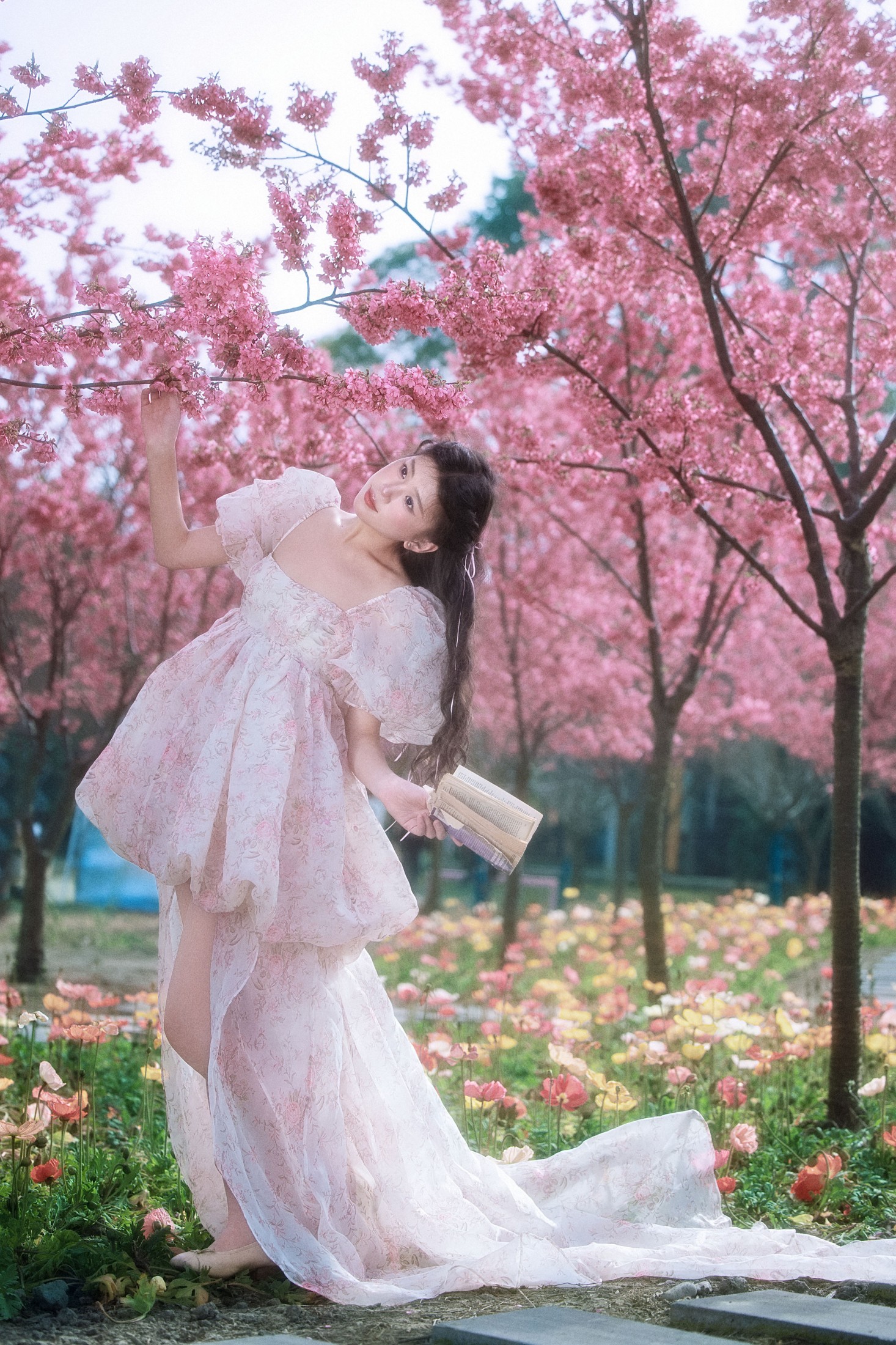 丹丹 - 《樱花树下》[18P]