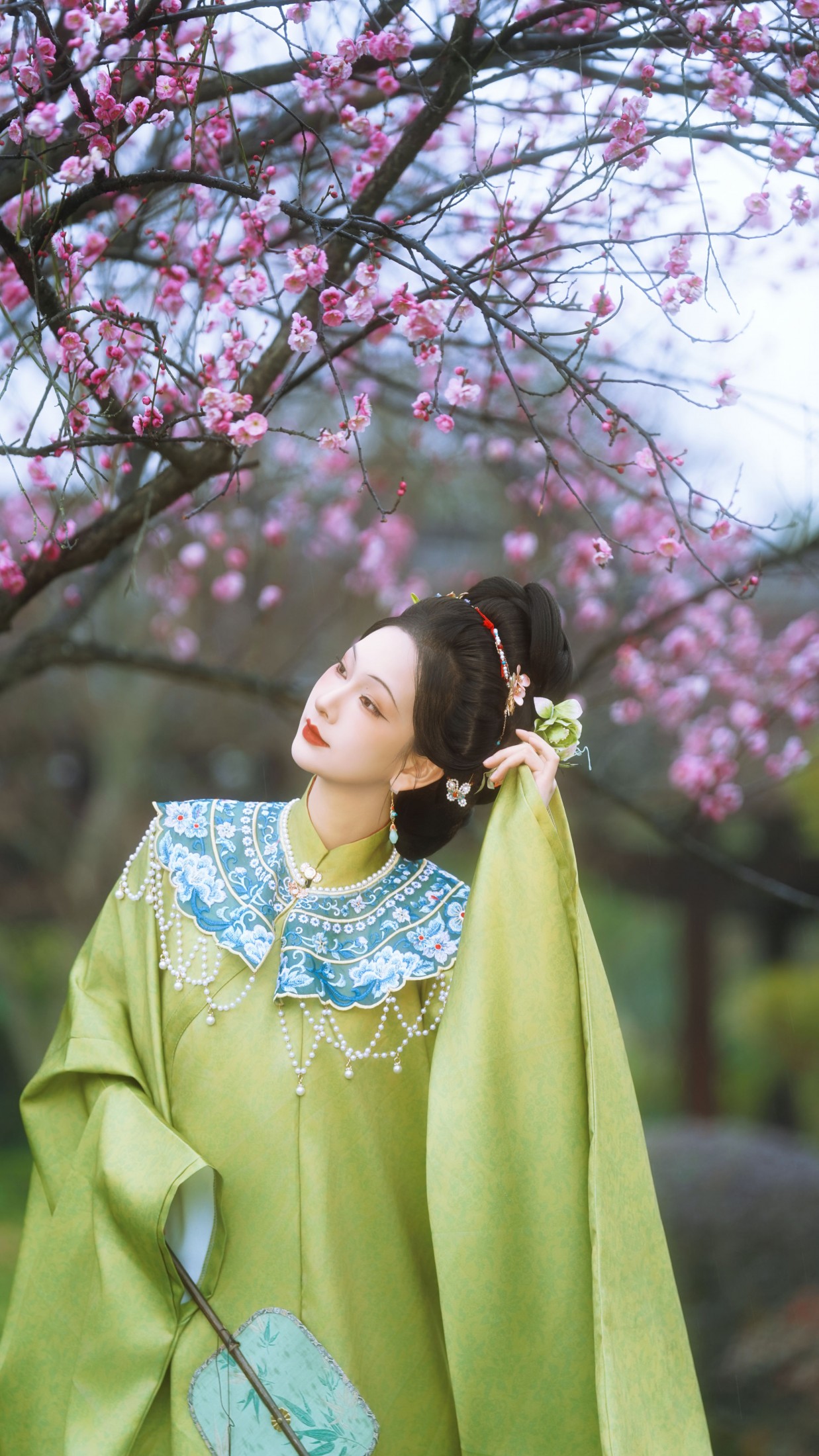 《傲骨寒梅》[15P]
