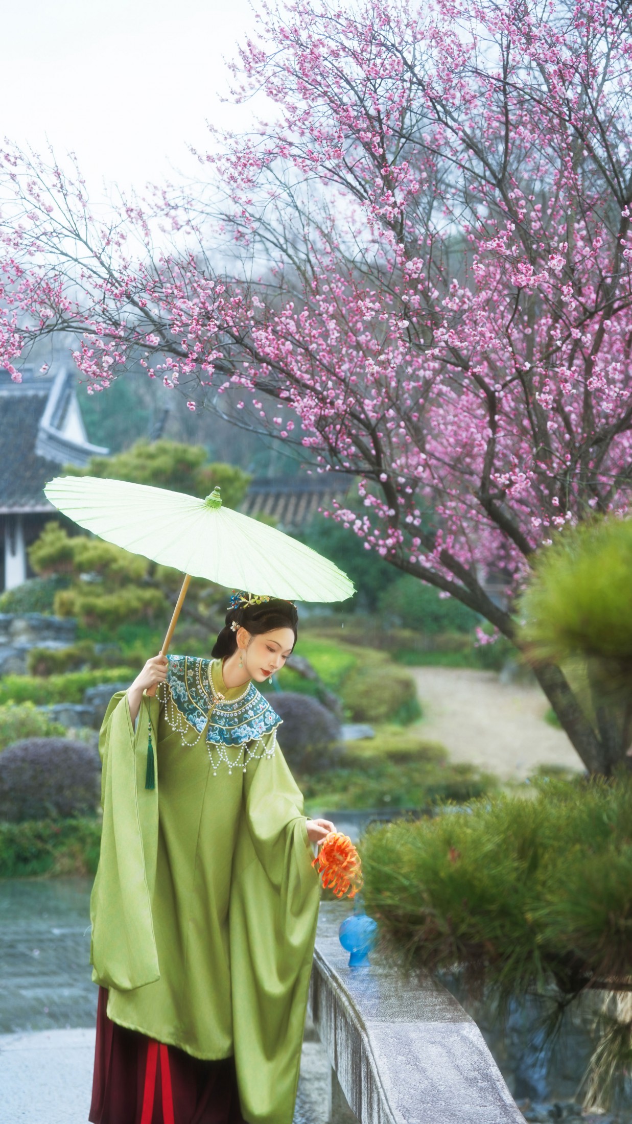 《傲骨寒梅》[15P]