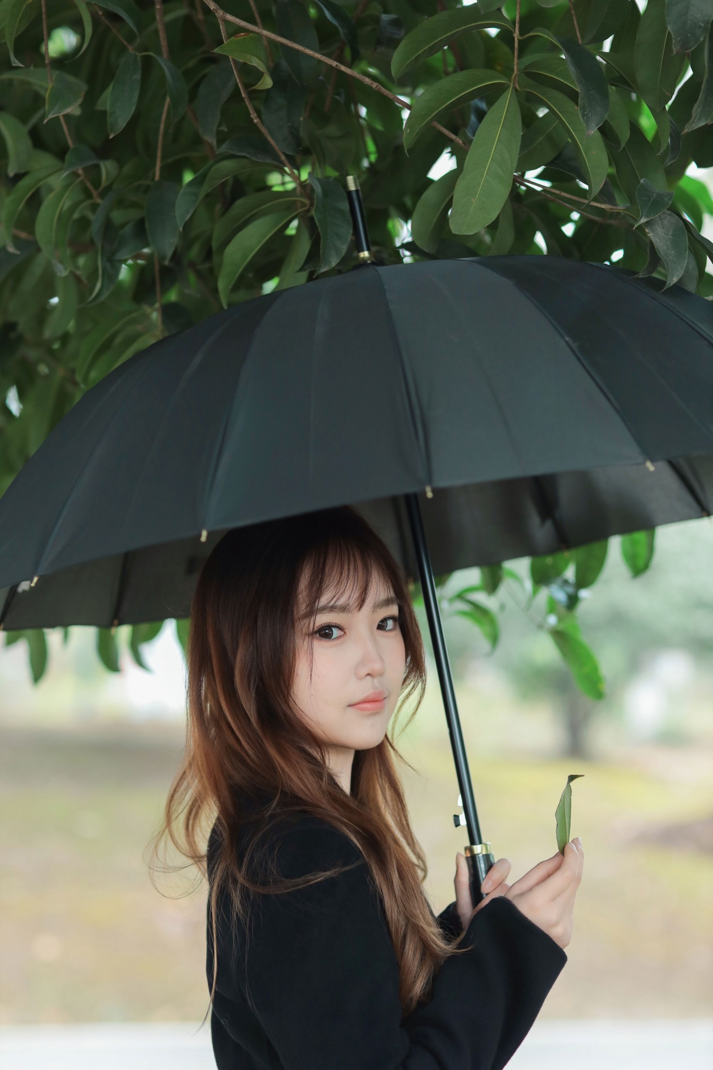 小绿 - 《绿荫》[26P]