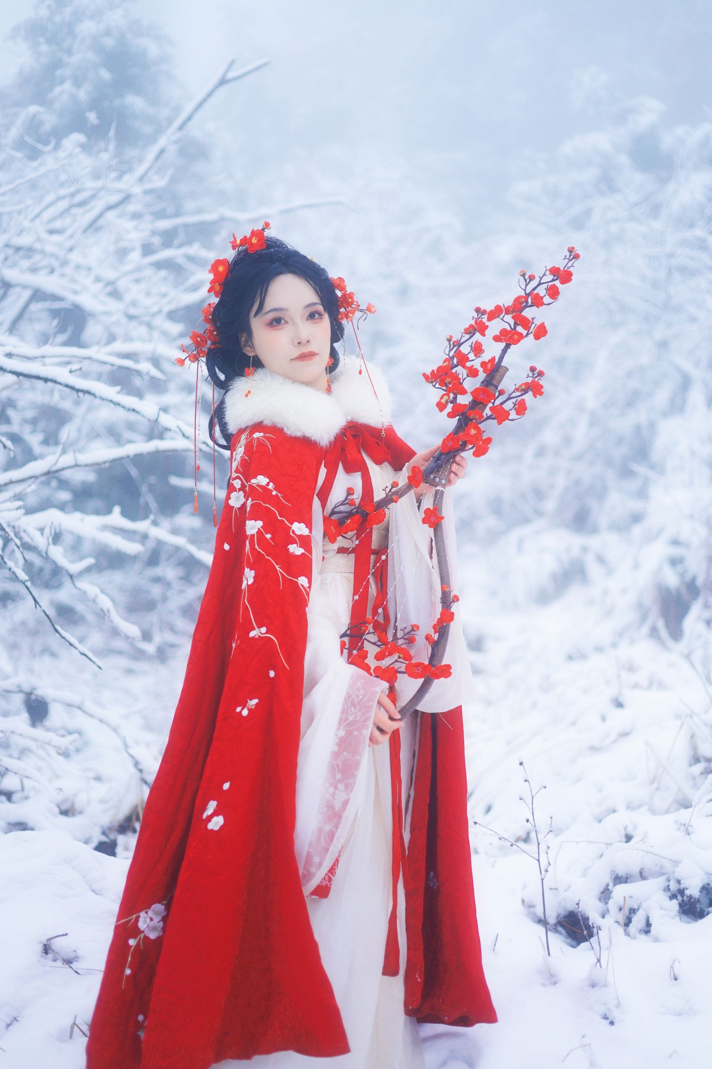 踏雪寻梅