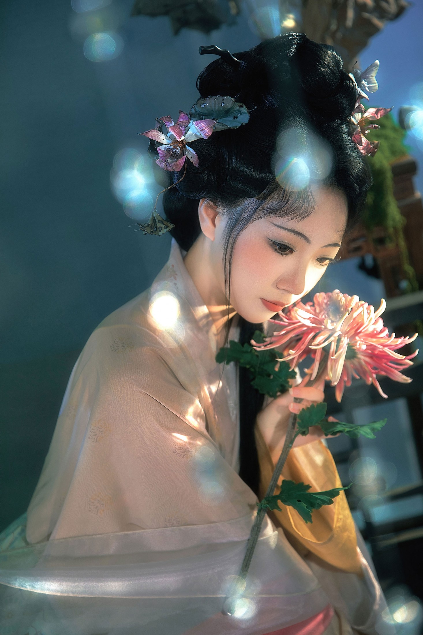 赵噗噗 - 《枯荷｜烟里抱秋霜》[12P]