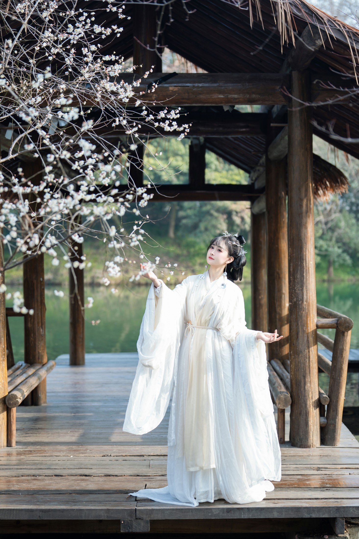 梅花独自开