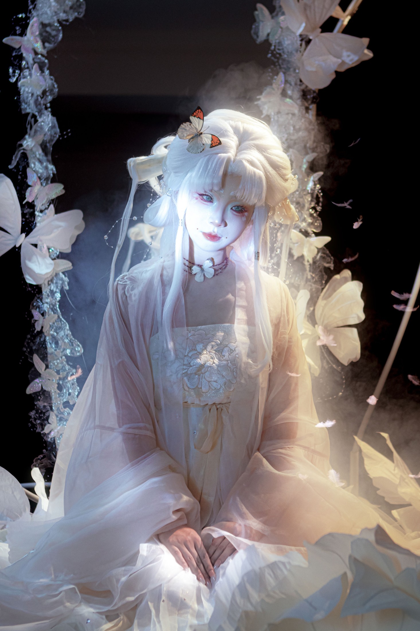 蔸小黄鸡 - 《梦蝶》[9P]