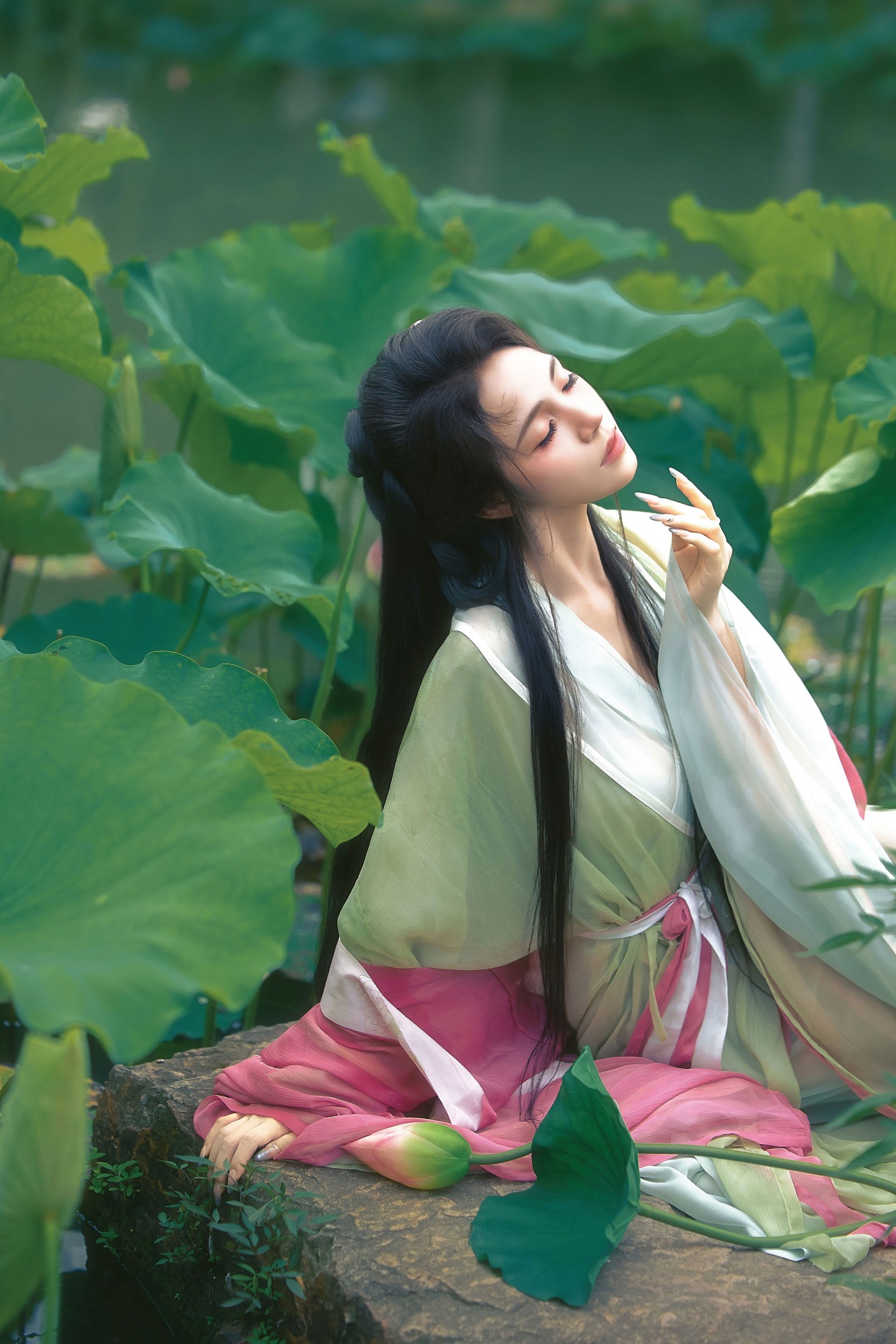 清冷荷