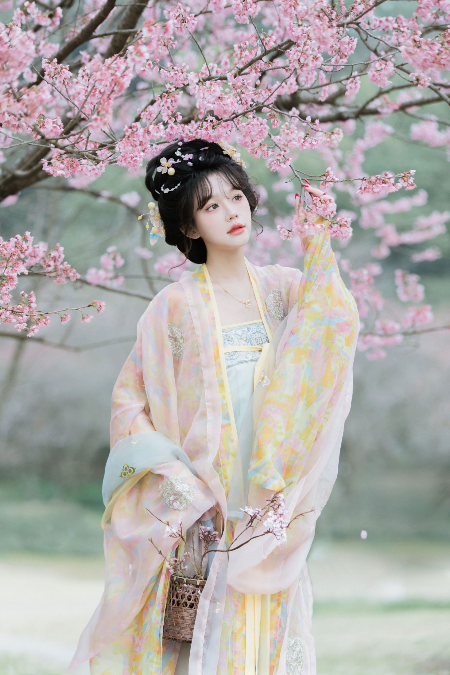 《早樱》[28P]