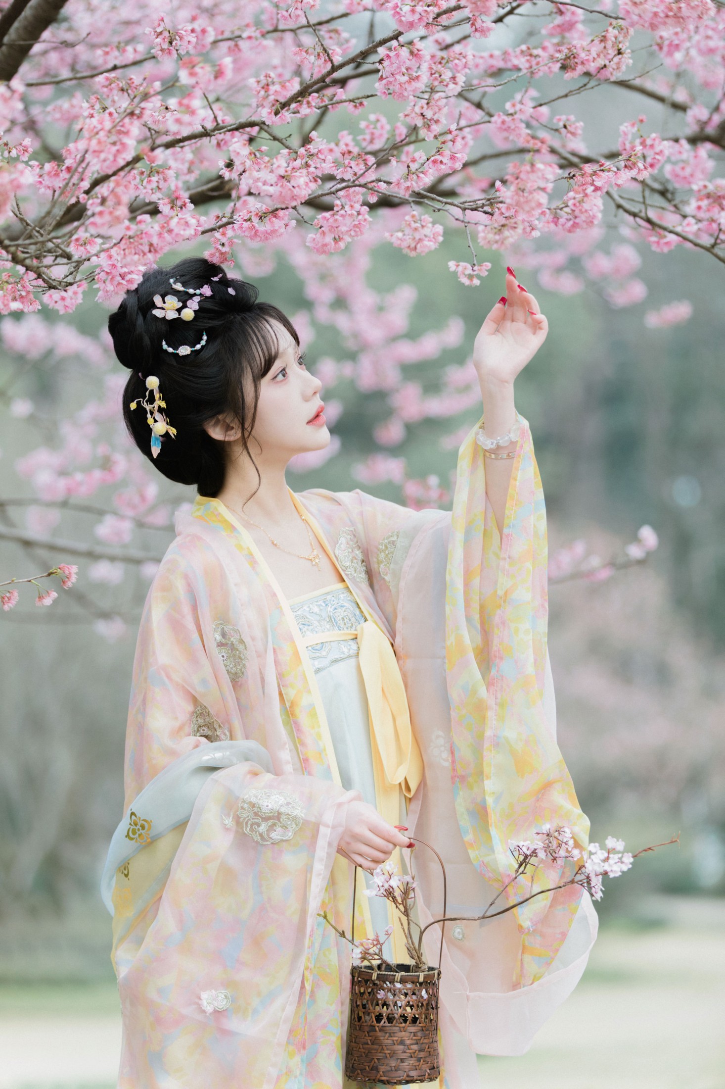 《早樱》[28P]