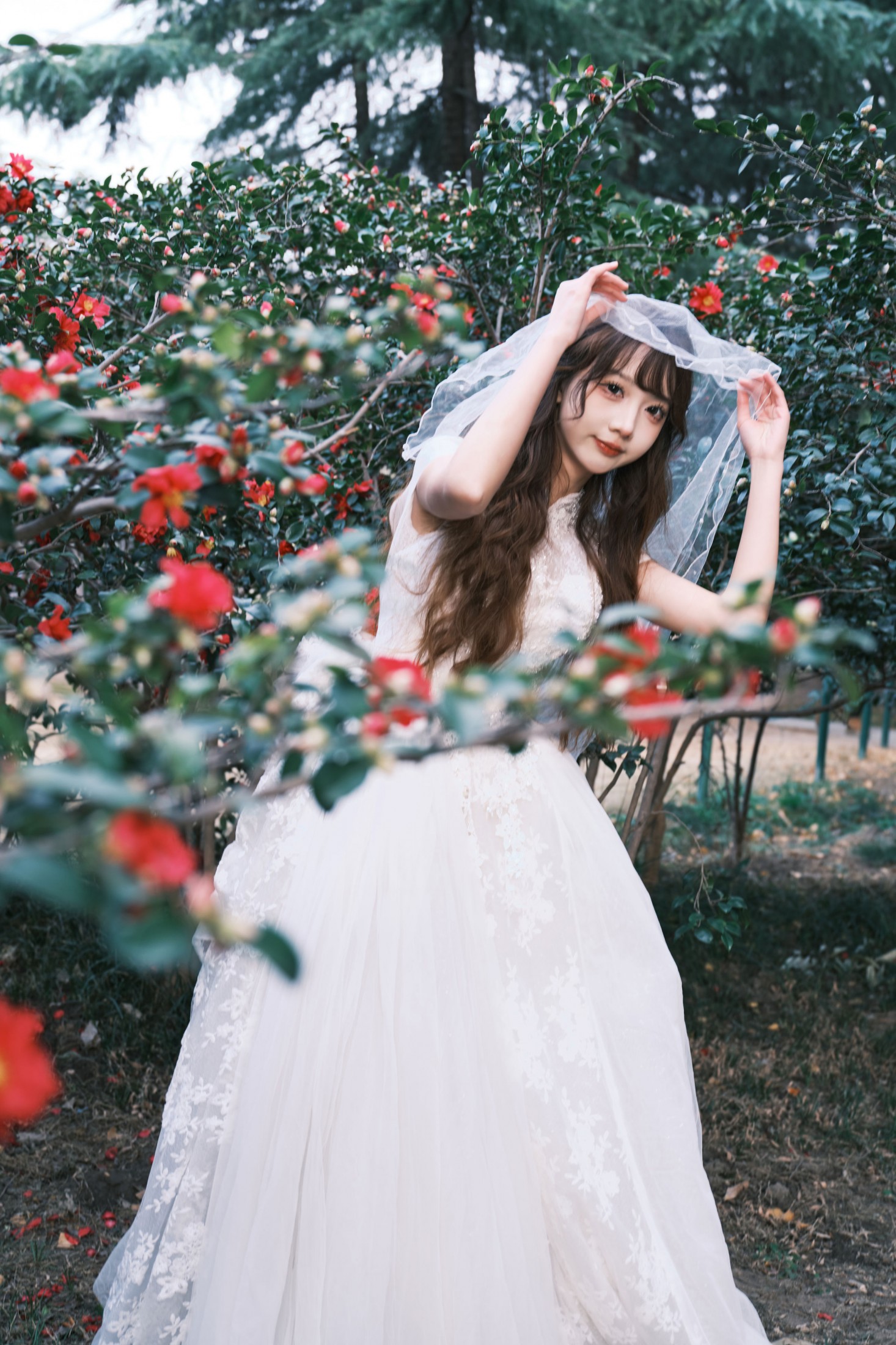 山茶花新娘体验卡