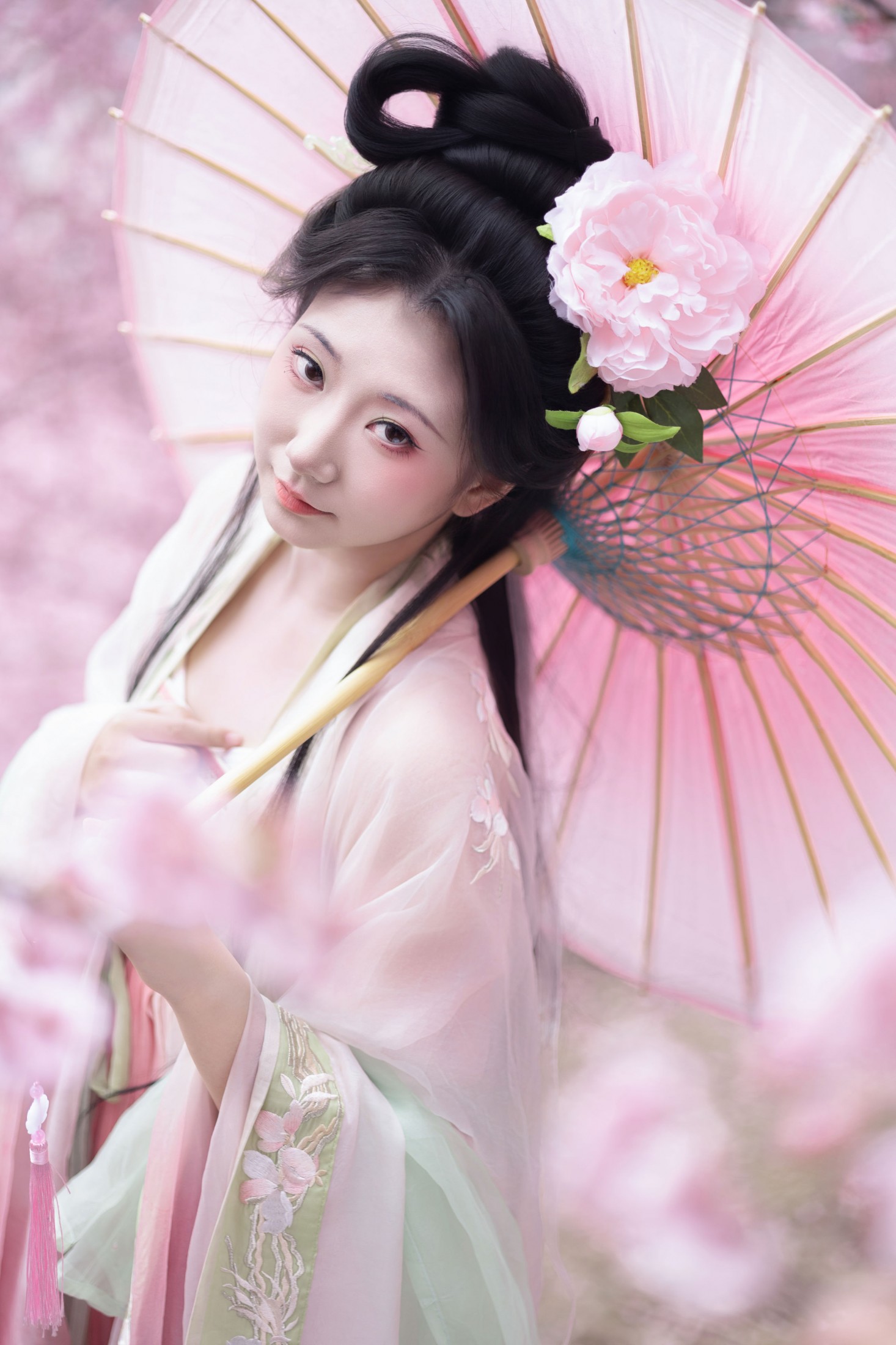 《春樱》[15P]