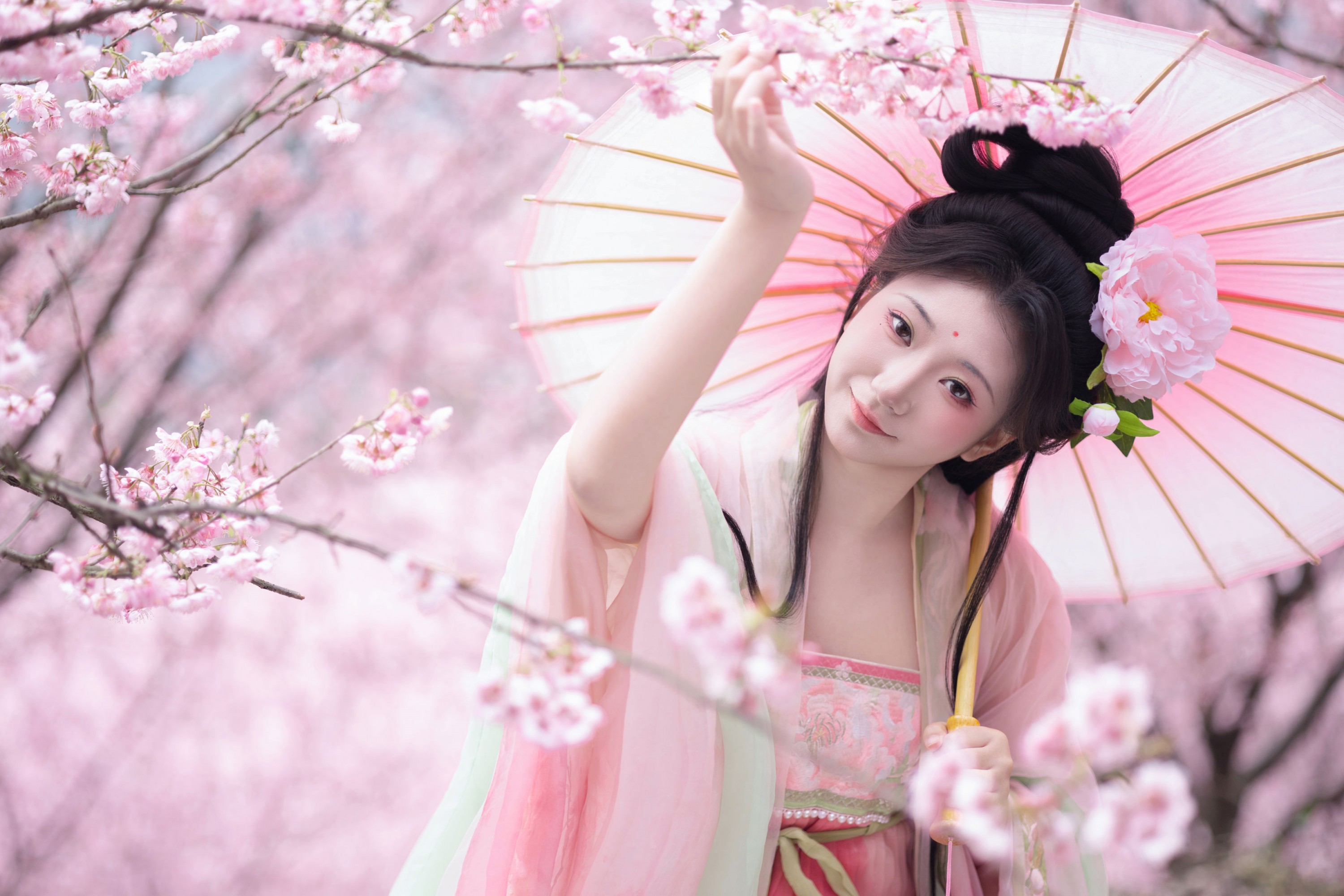《春樱》[15P]