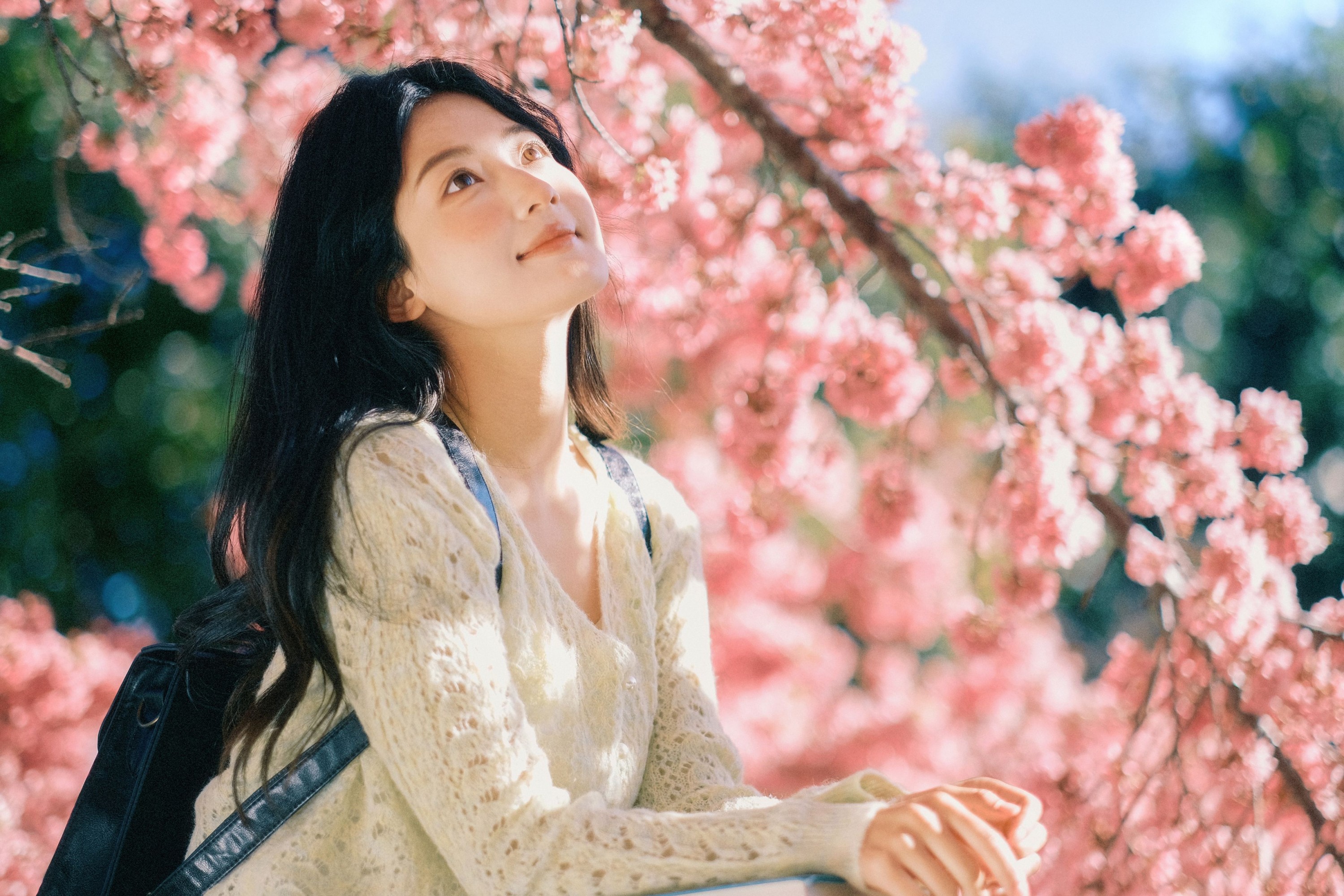 豆芽菜iFrc – 《冬樱》[22P]
