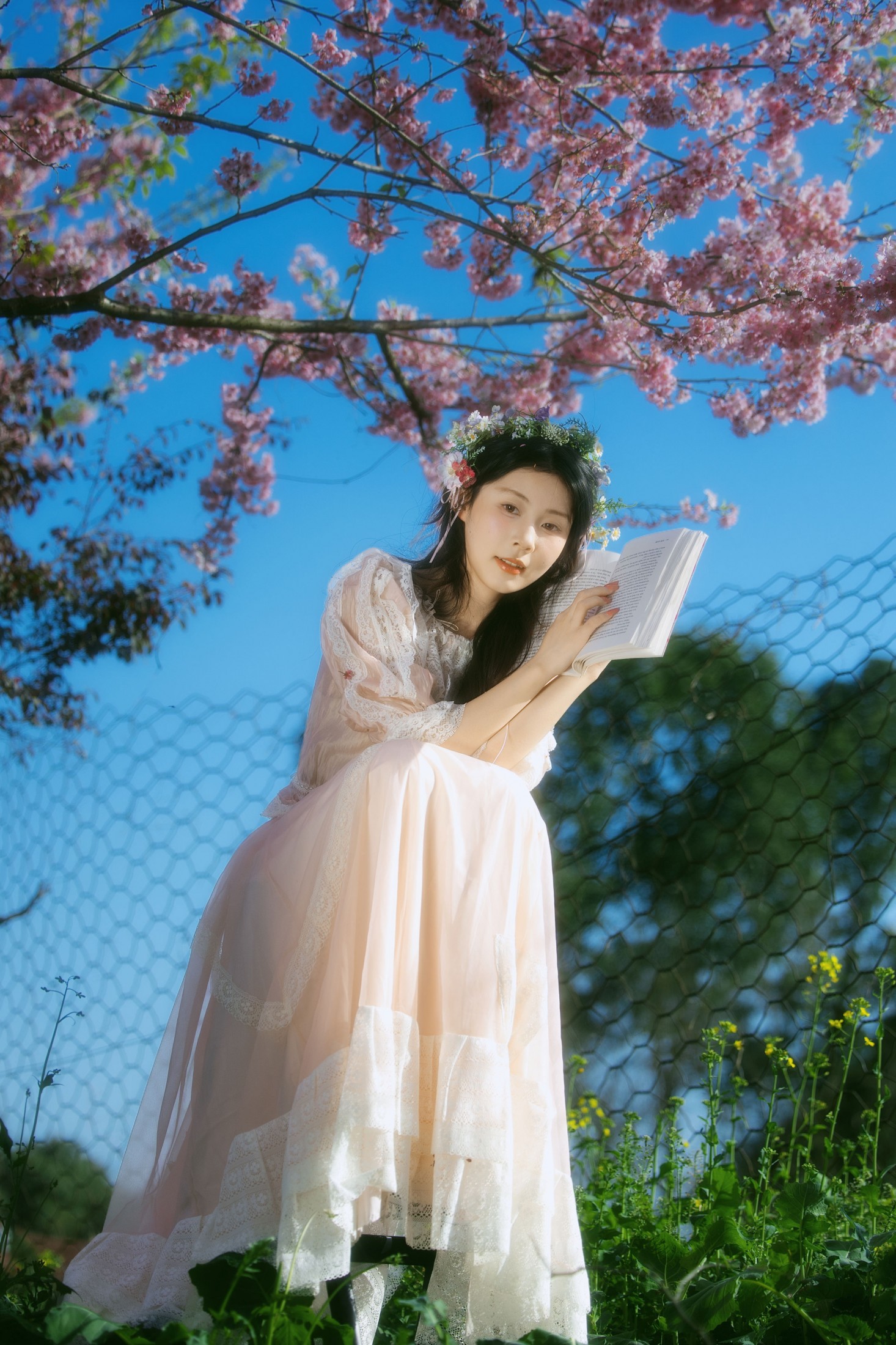 露丝 - 《春樱》[24P]