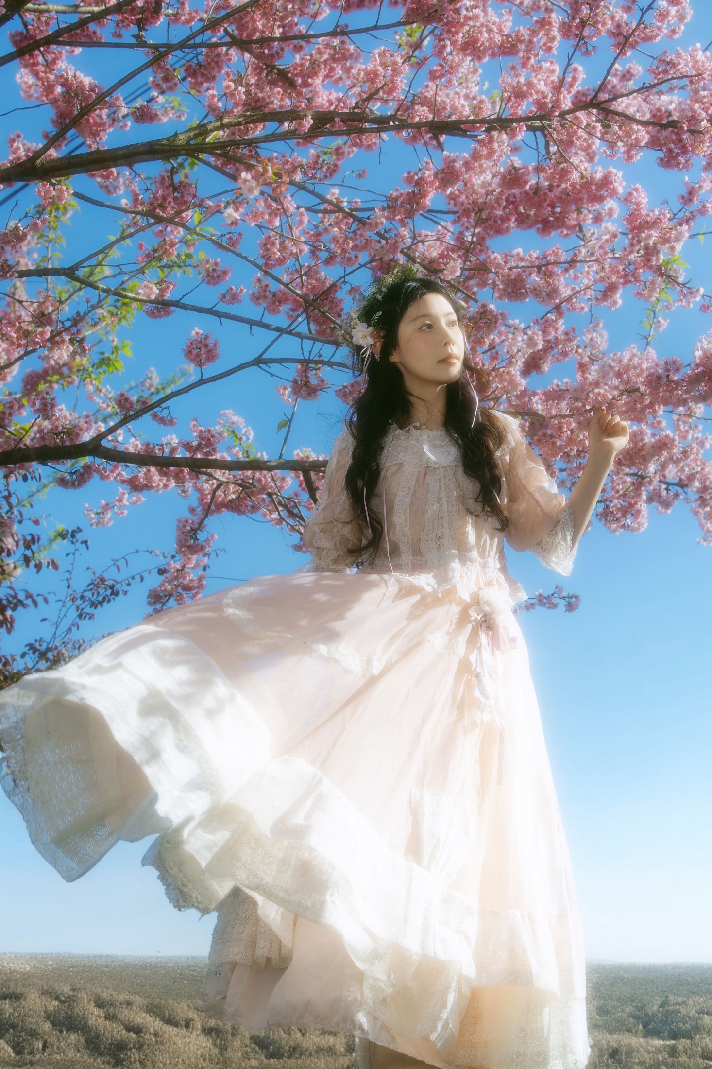 露丝 – 《春樱》[24P]