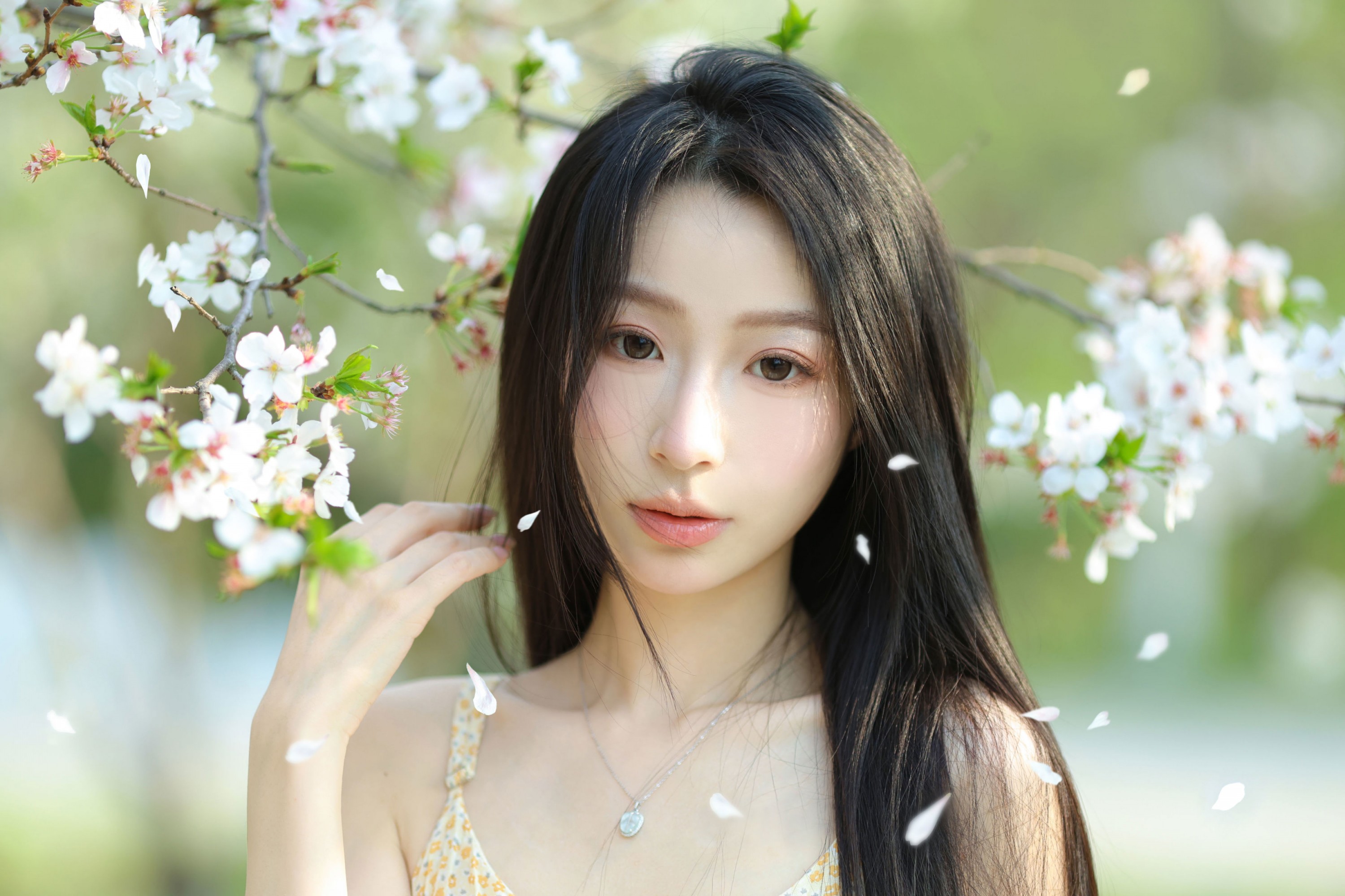 小吕板板 - 《樱花树下》[14P]