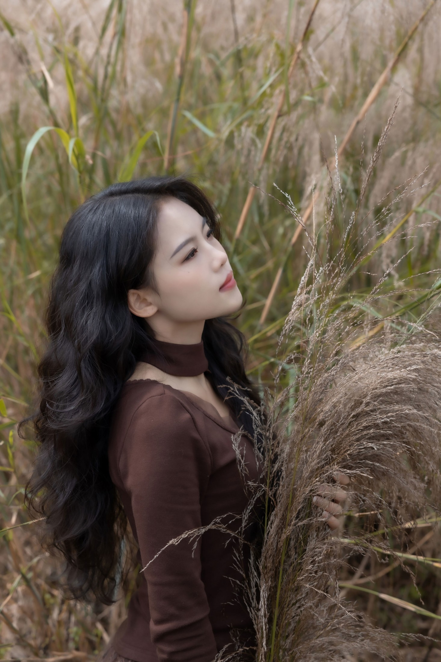 陈十二ing – 《暮色赴荒草》[26P]