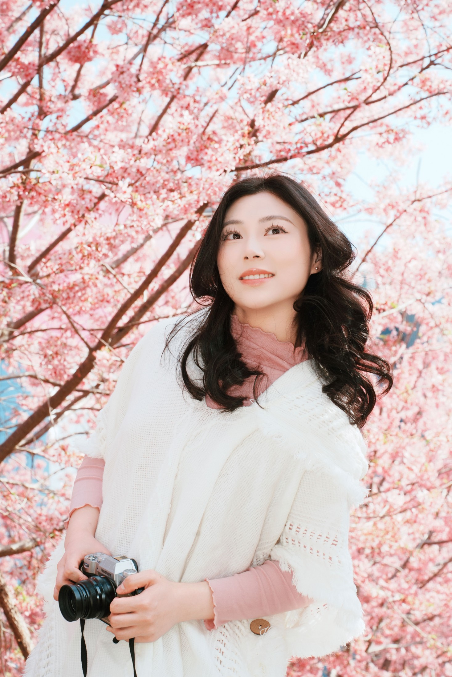 《樱花赴春日》[22P]