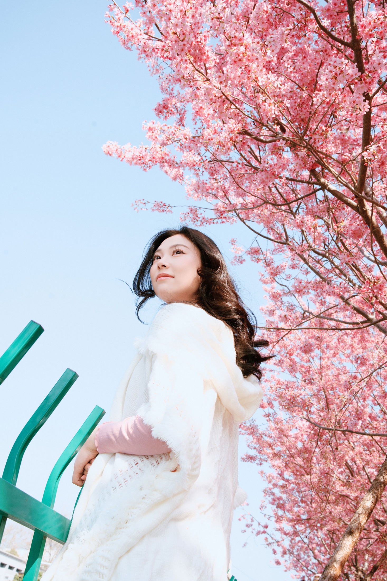 《樱花赴春日》[22P]