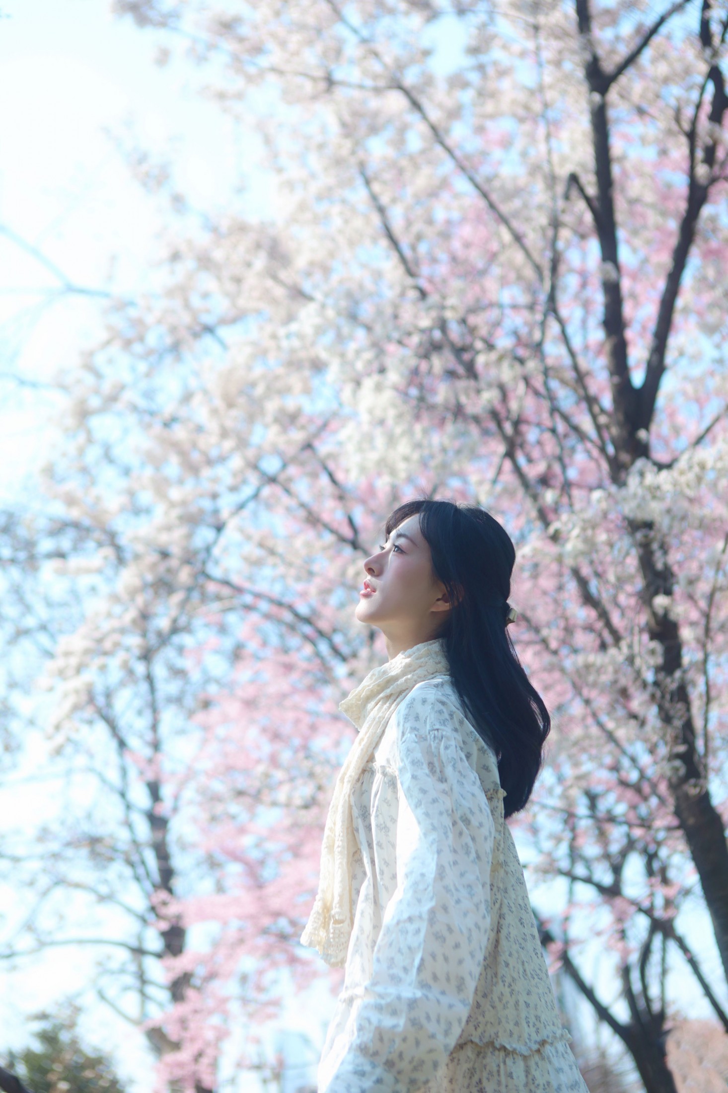 《樱花树下，你是我的春天》[9P]