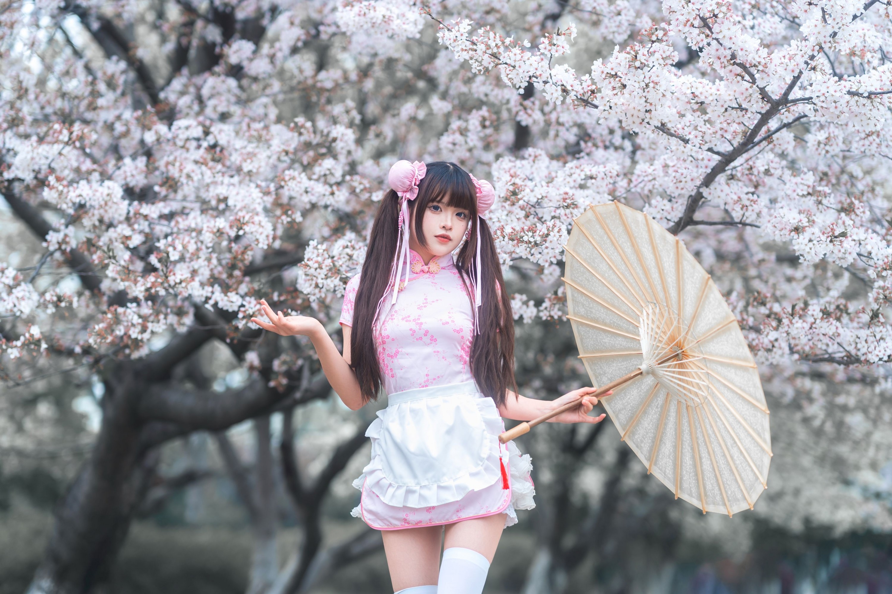《中华娘樱花人像》[12P]