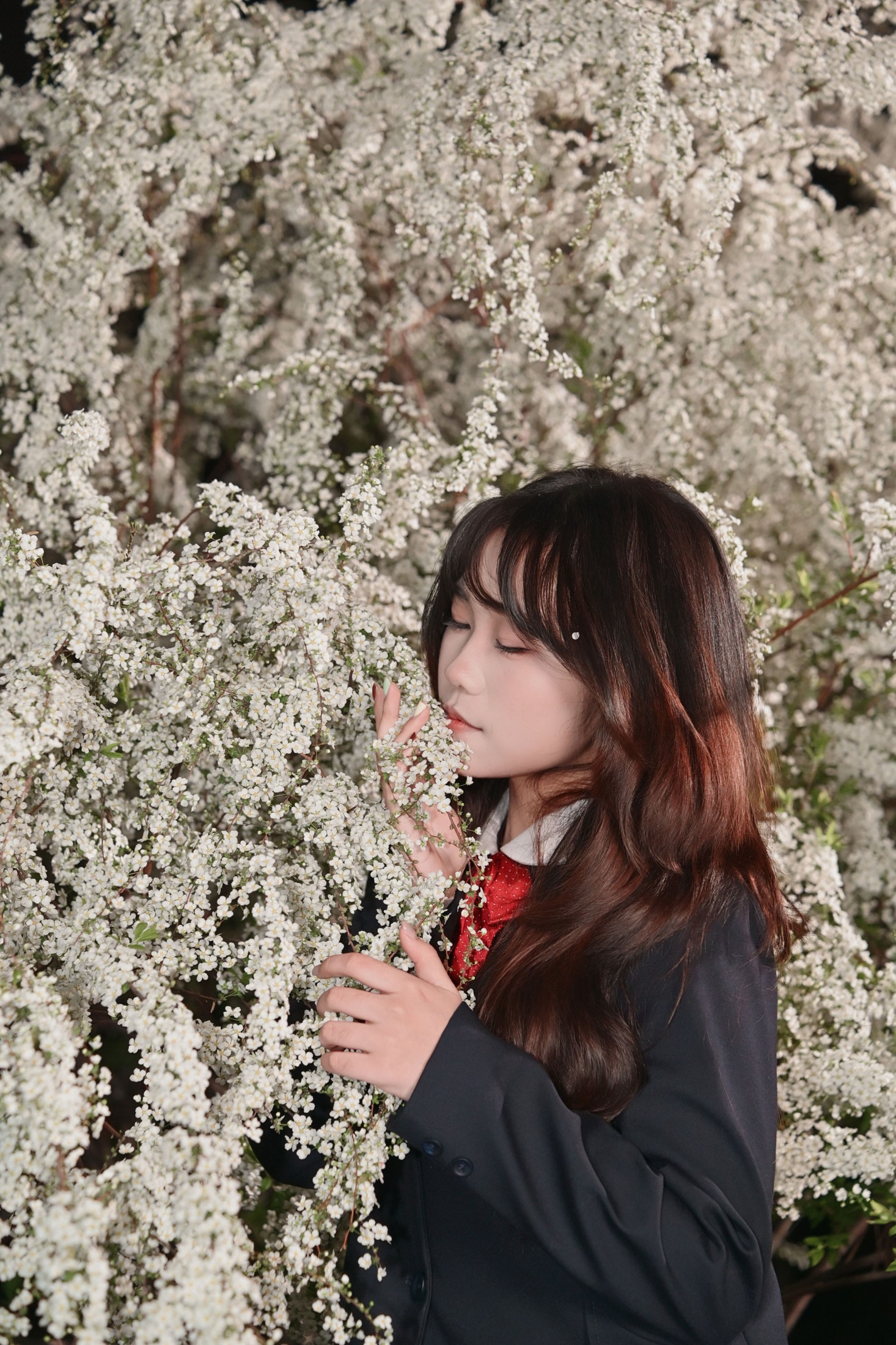 《jk樱花》[12P]