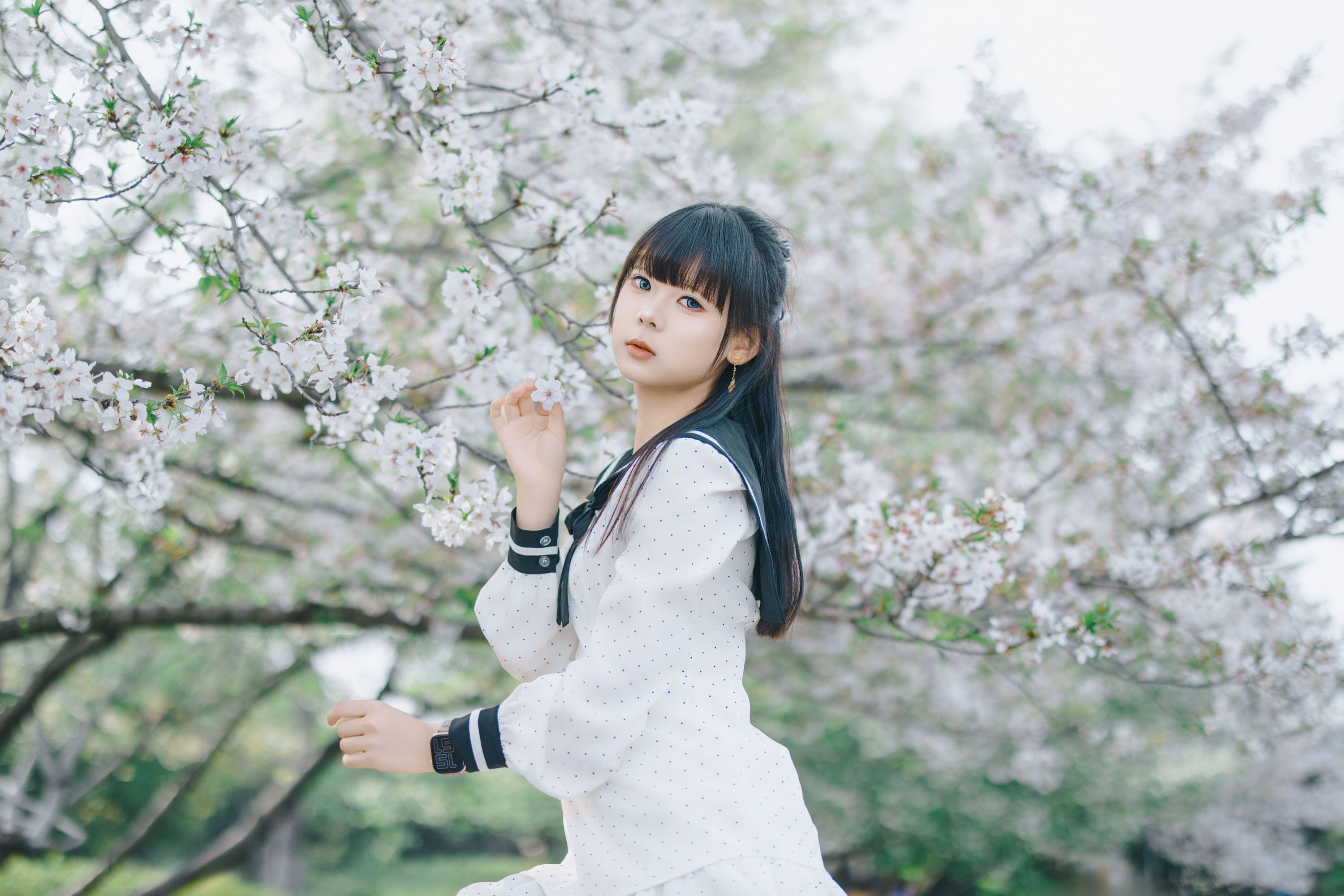 《樱花水手服》[52P]