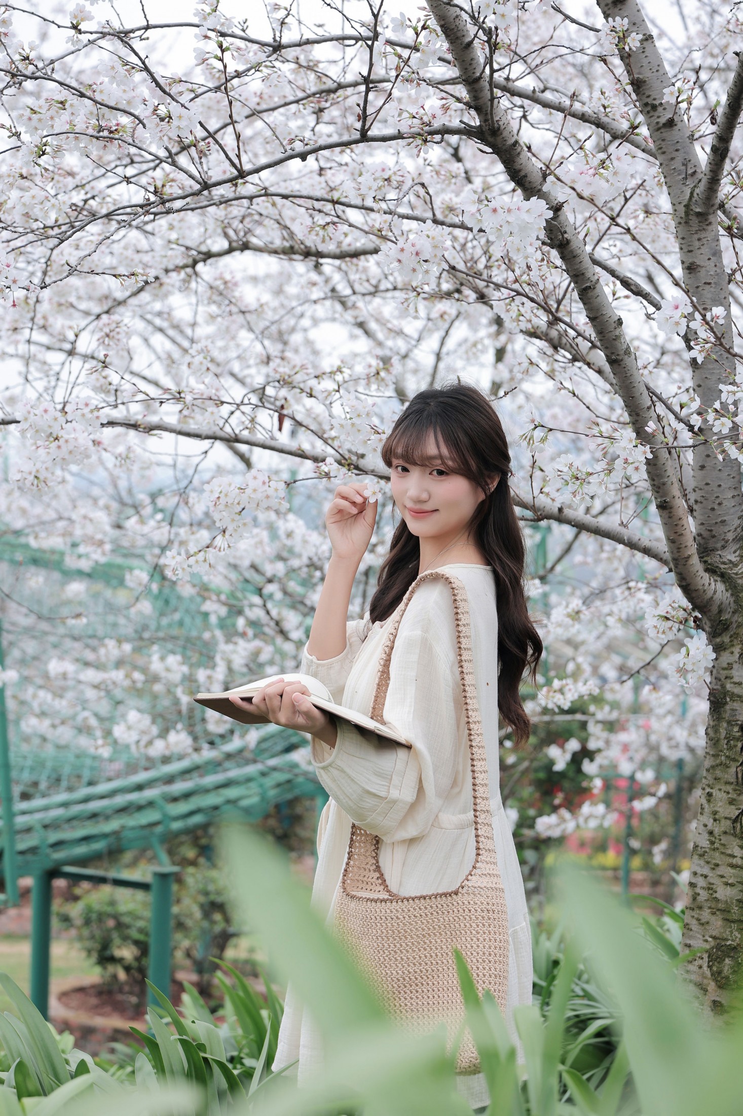 《春日樱花》[16P]