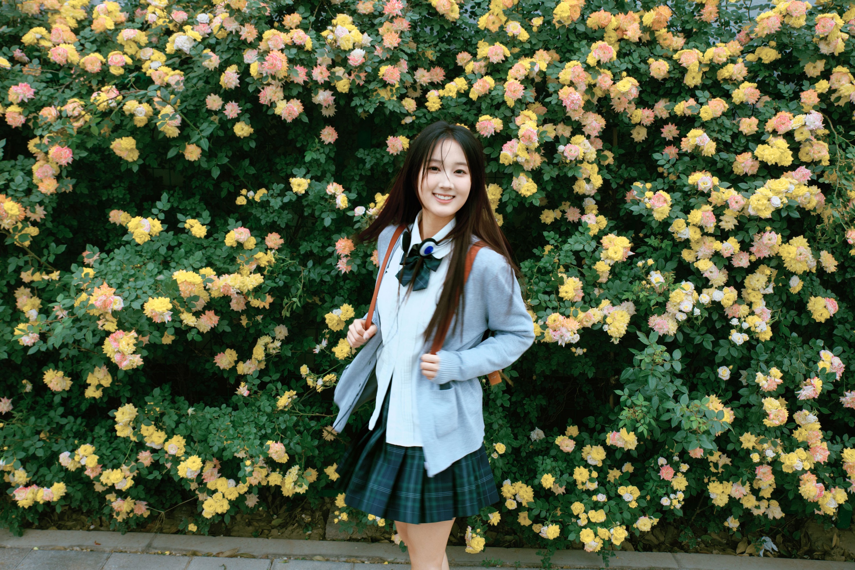 《蔷薇少女》[27P]
