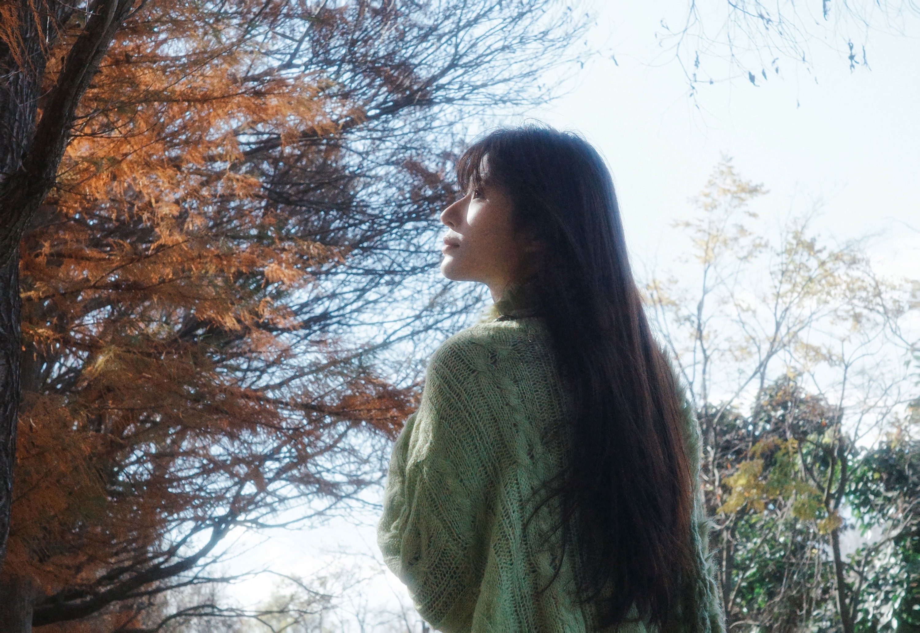 《绿野之森》[15P]