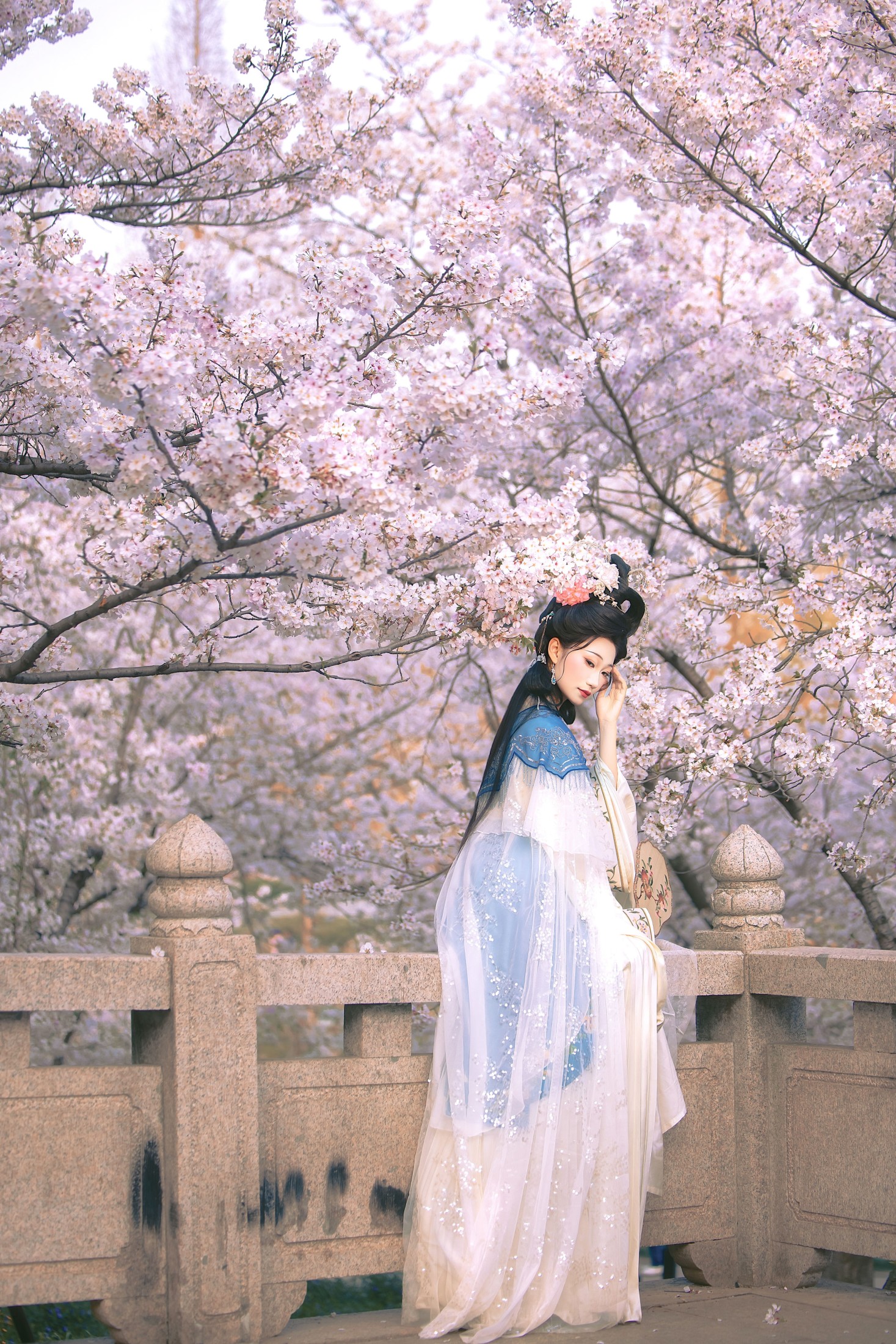 《处处山樱花压枝》[22P]