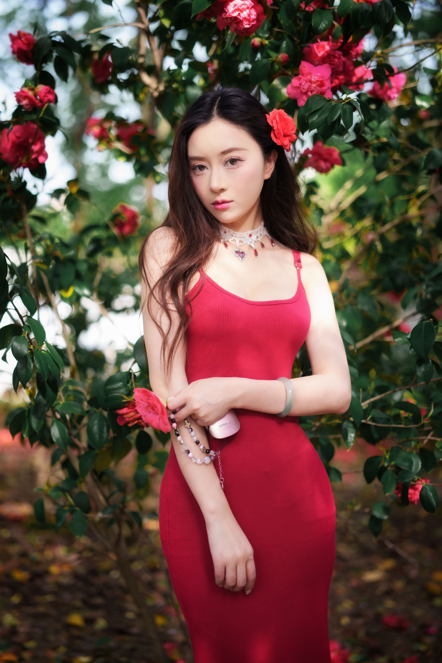 《山茶花开》[26P]