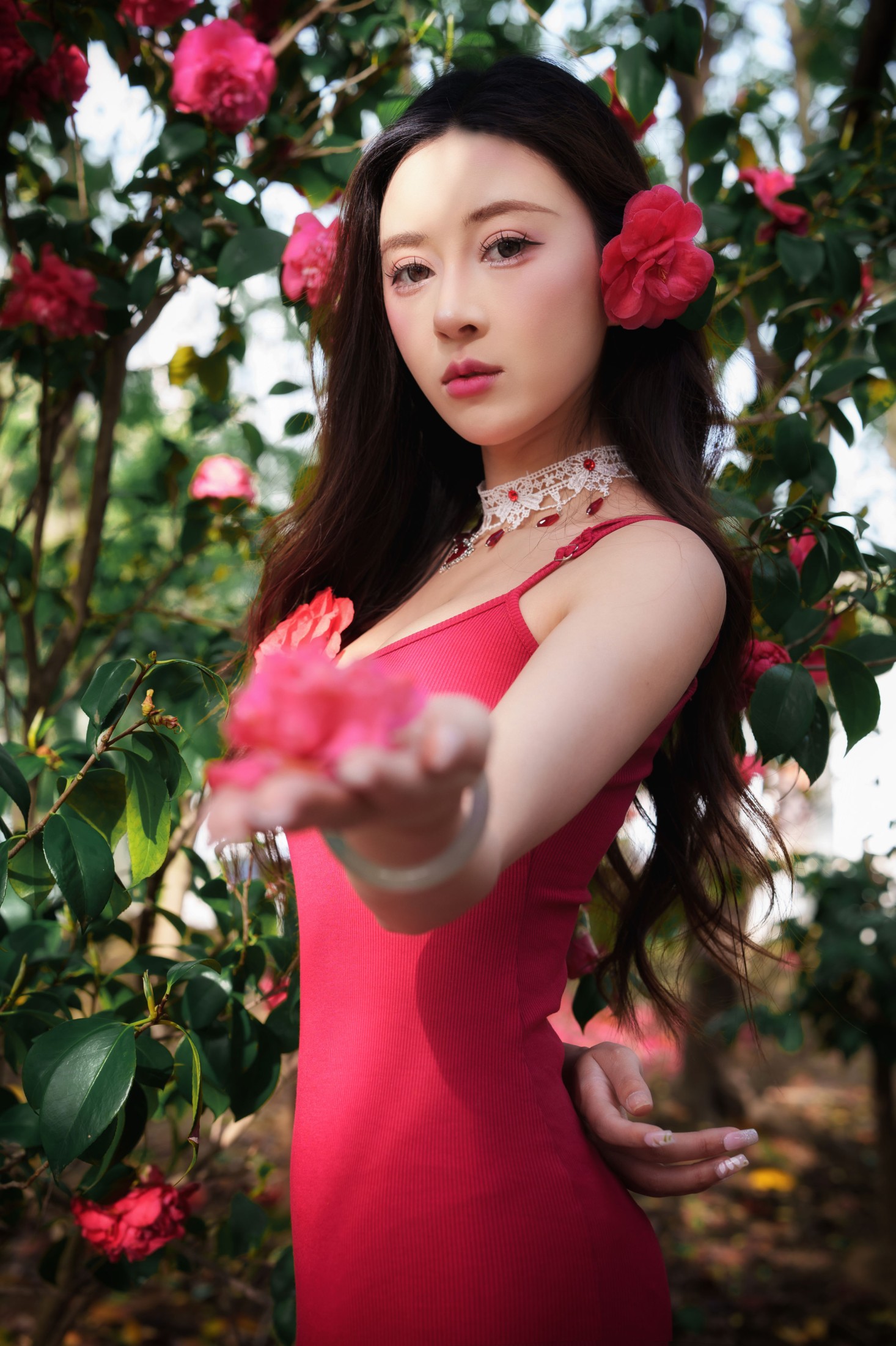 《山茶花开》[26P]