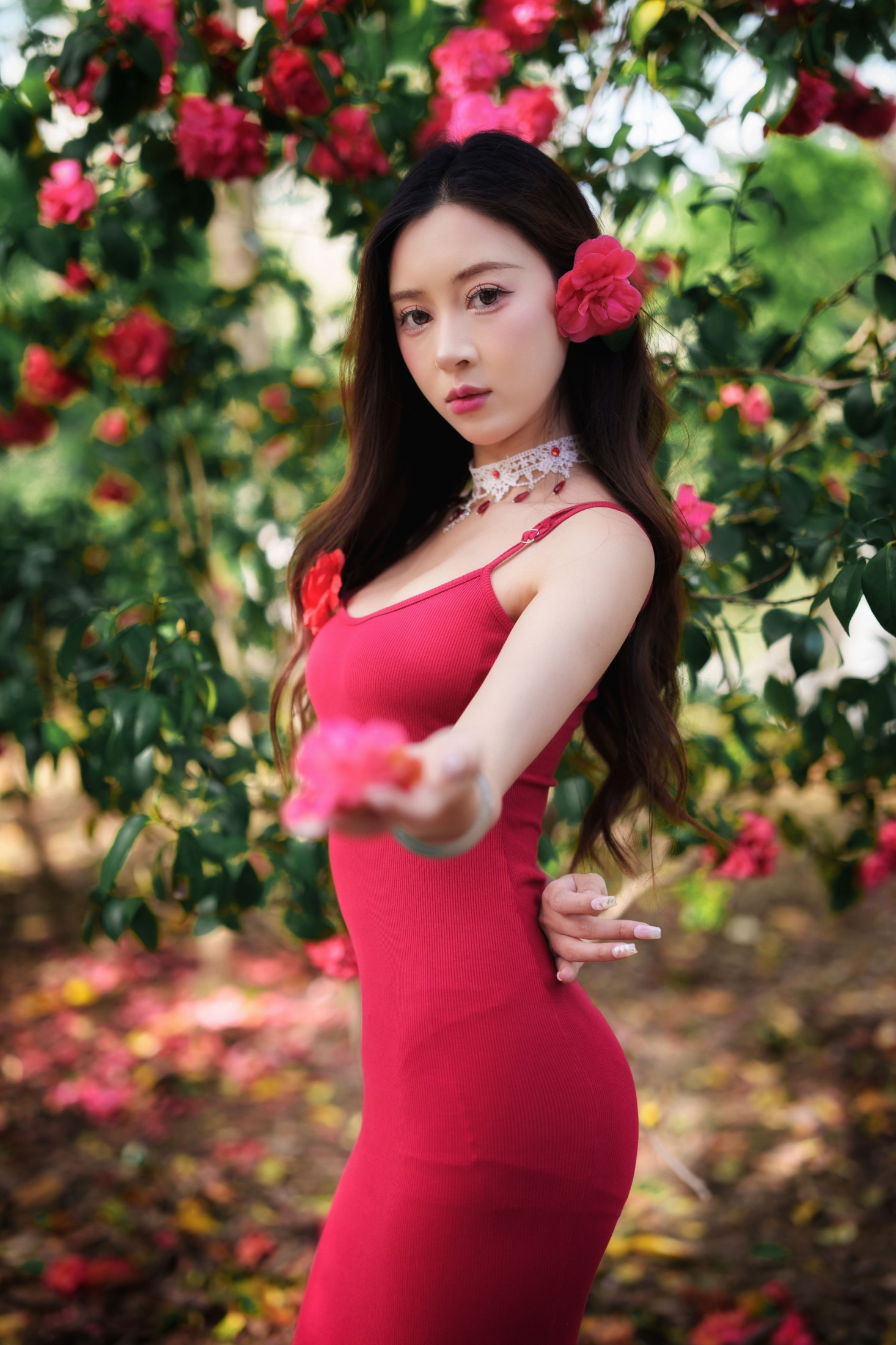 《山茶花开》[26P]