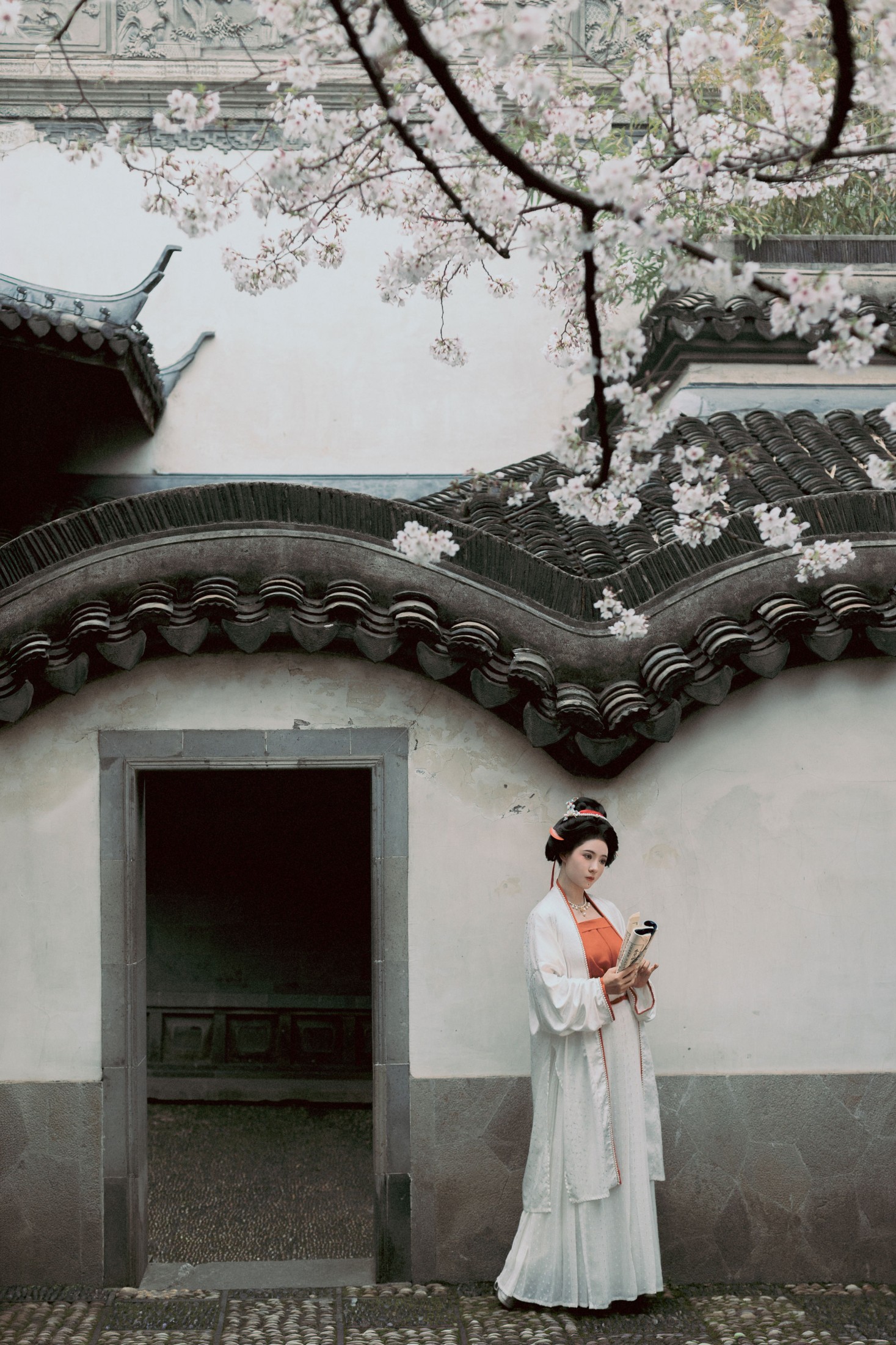 《故园白樱》[28P]