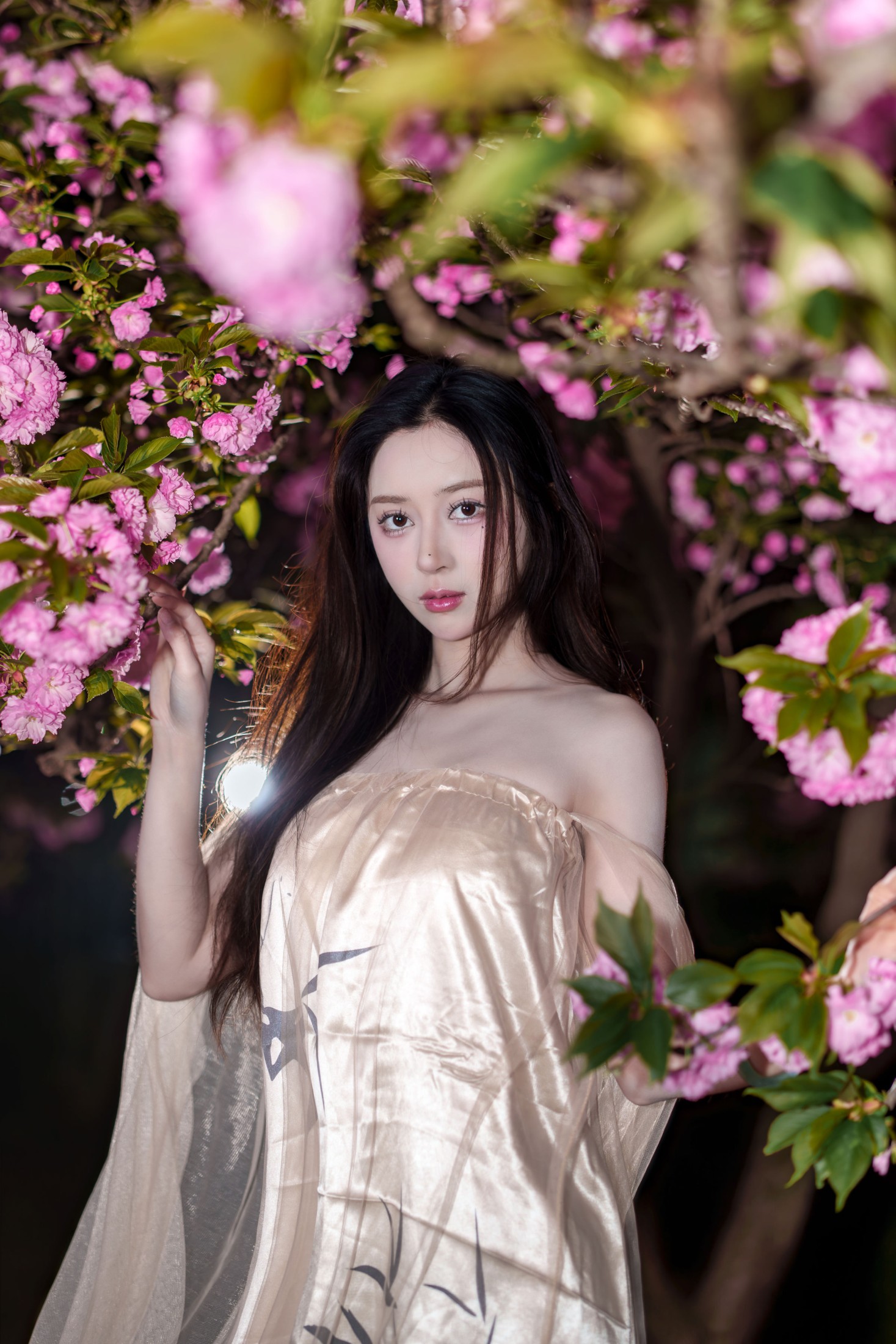 《夜海棠》[15P]