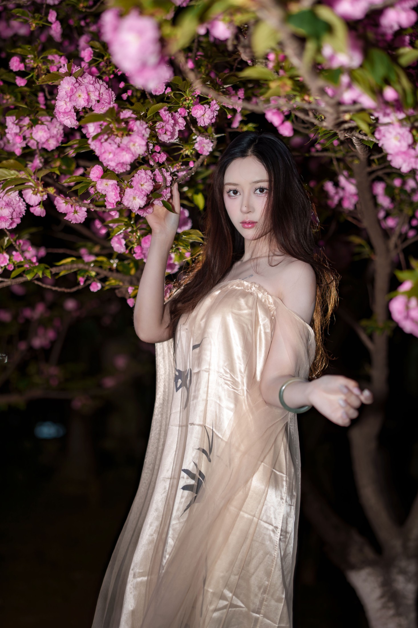 《夜海棠》[15P]