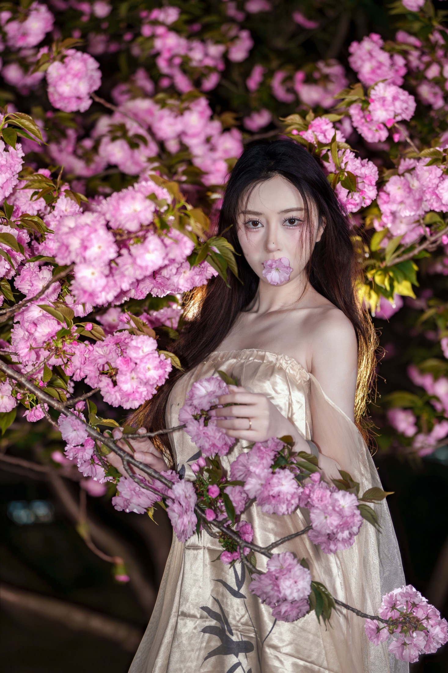 《夜海棠》[15P]